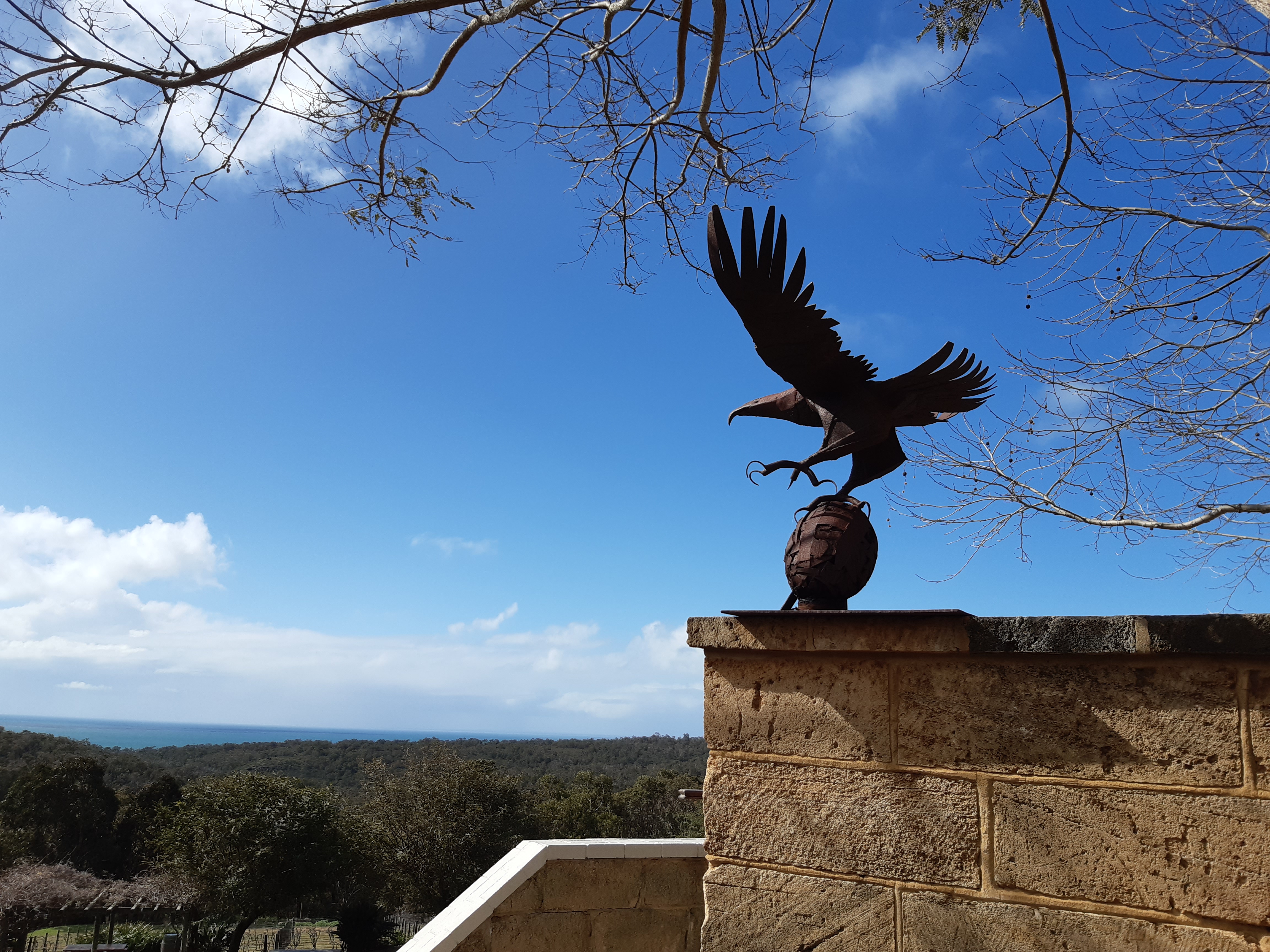 Vigneto in Australia