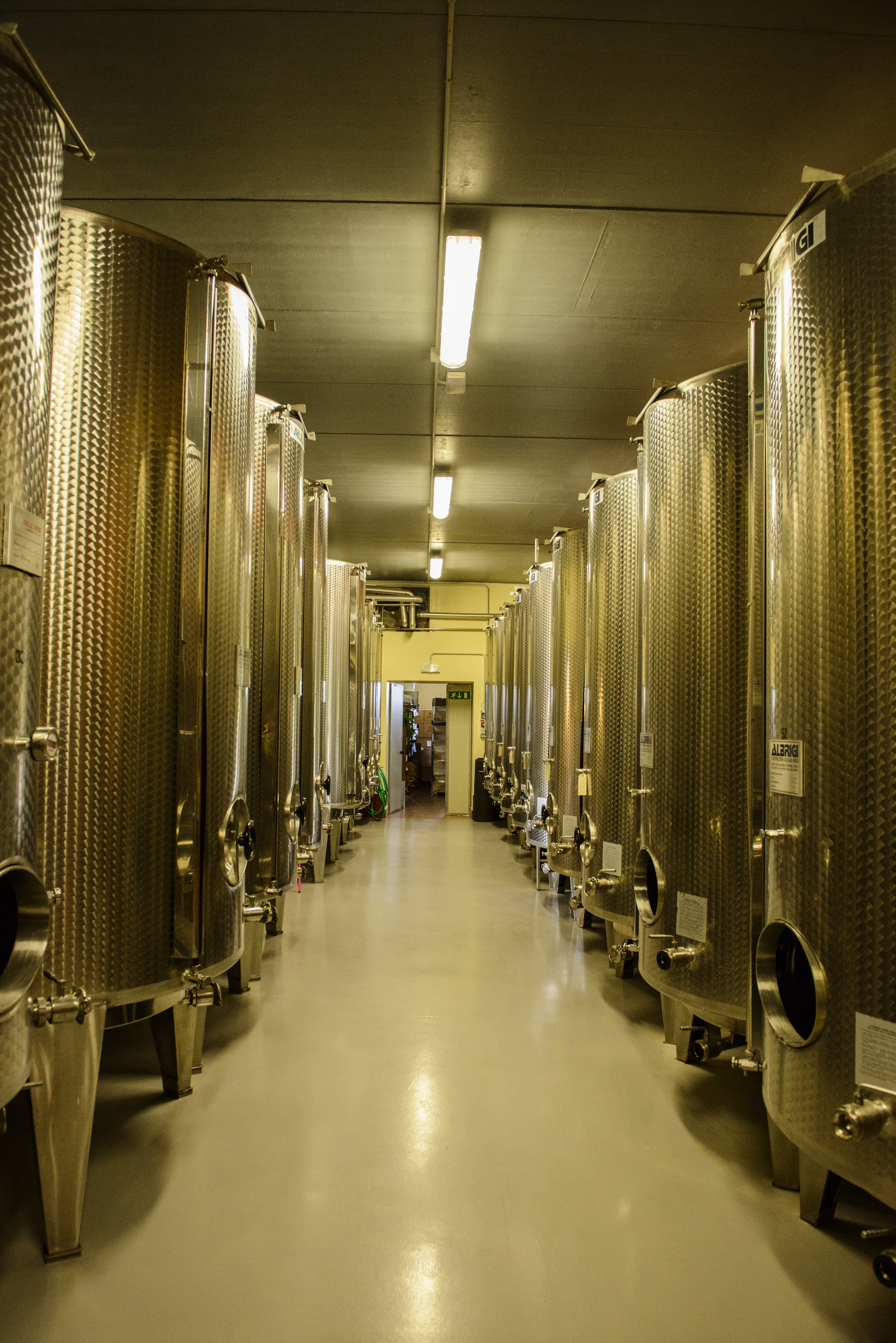 Vignoble en Italie