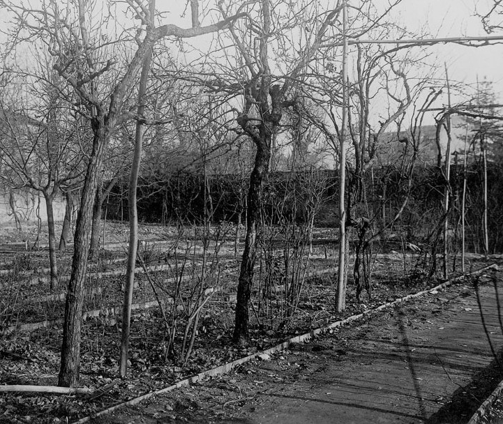 Vignoble en Italie