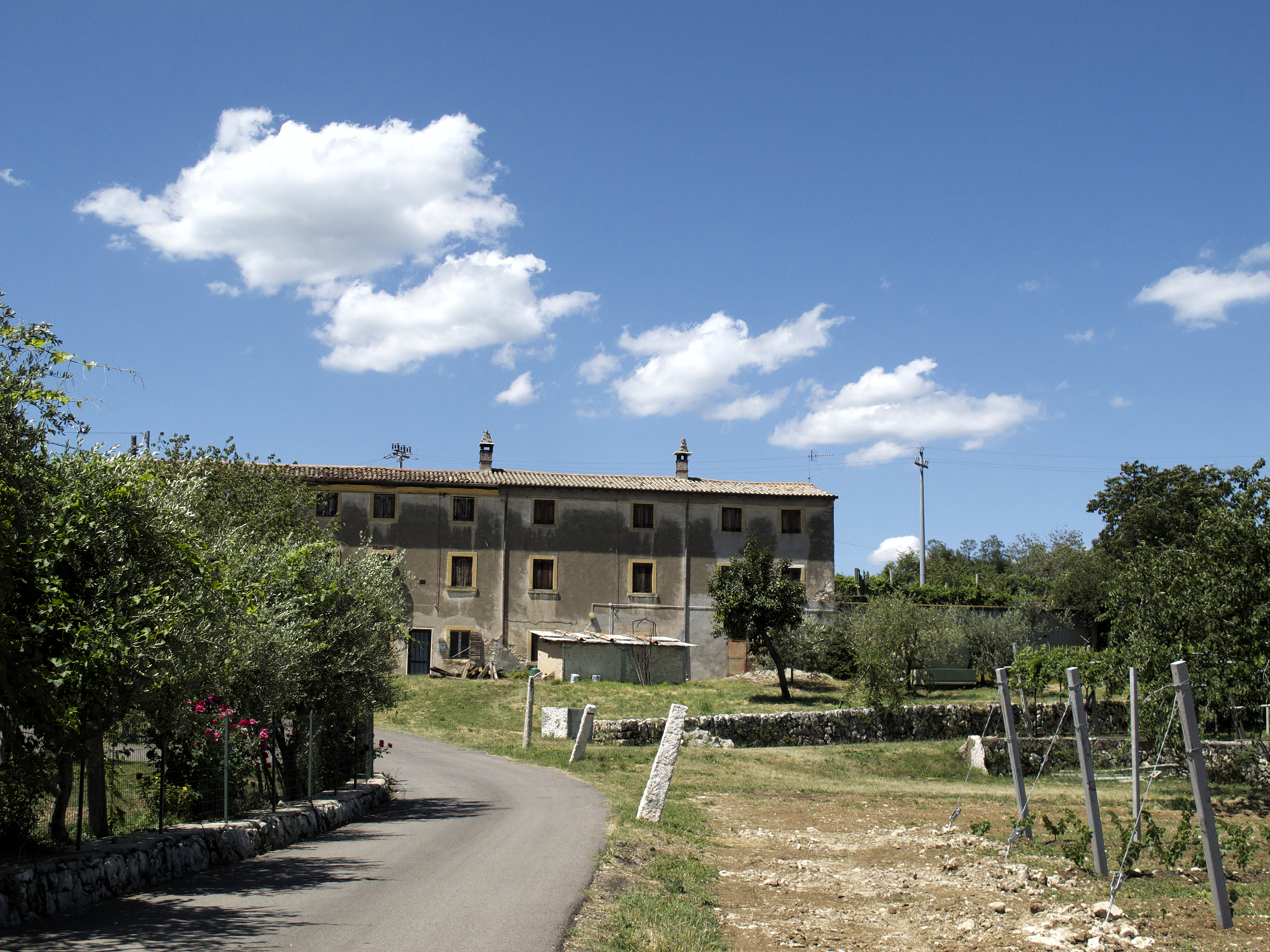 Vigneto in Italia