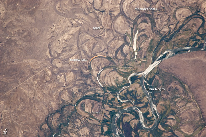 Vigneto a Patagonia - Rio Negro, Argentina