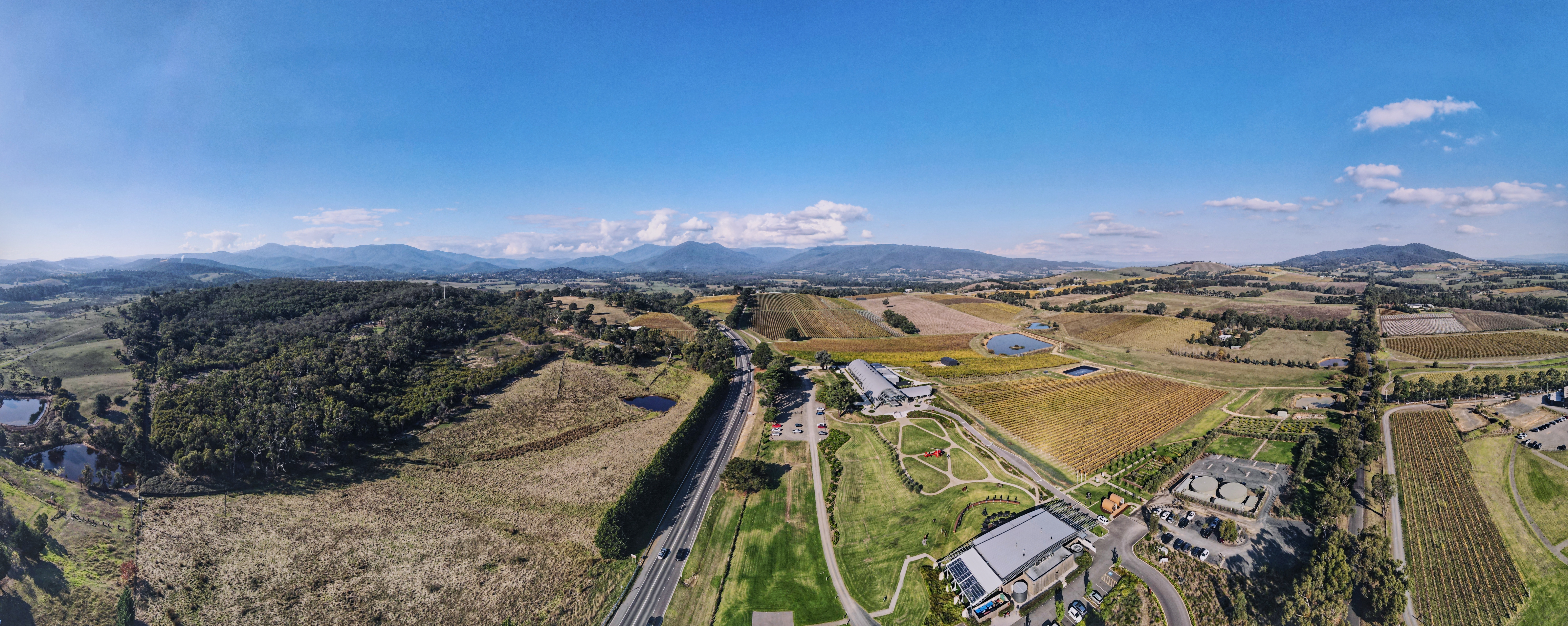 Vigneto a Victoria, Australia
