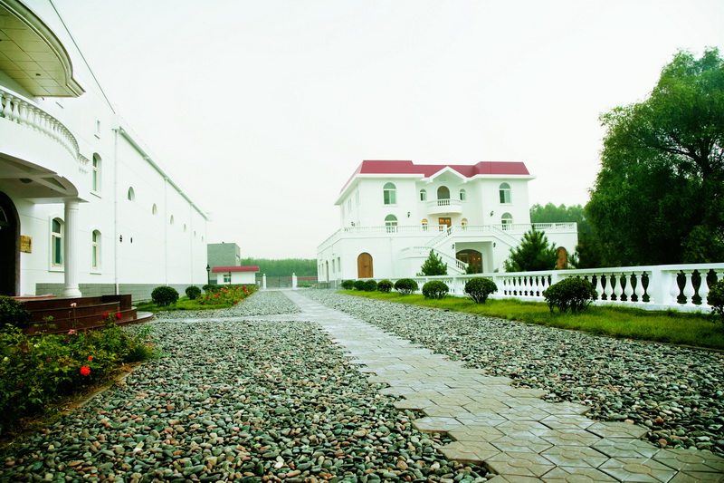Vigneto a Shanxi, Cina
