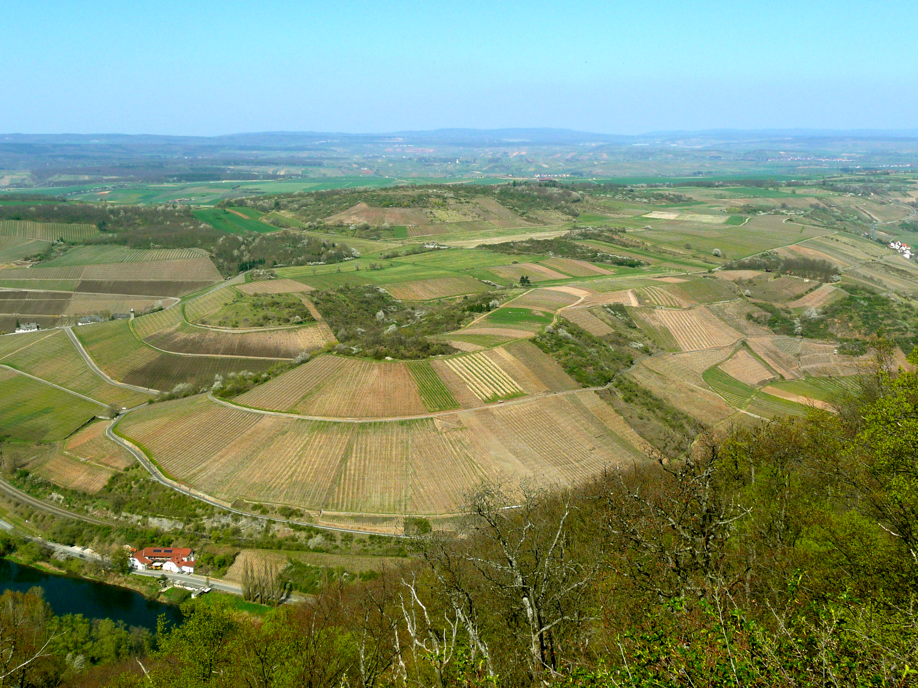 Vigneto a Nahe, Germania