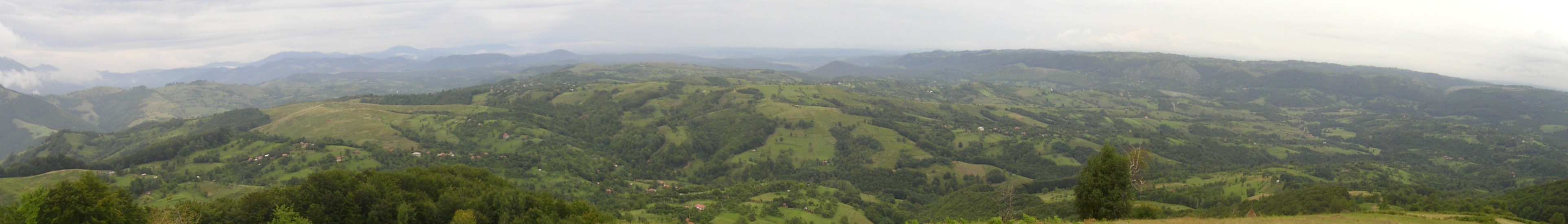 Vigneto a Oltenia, Romania