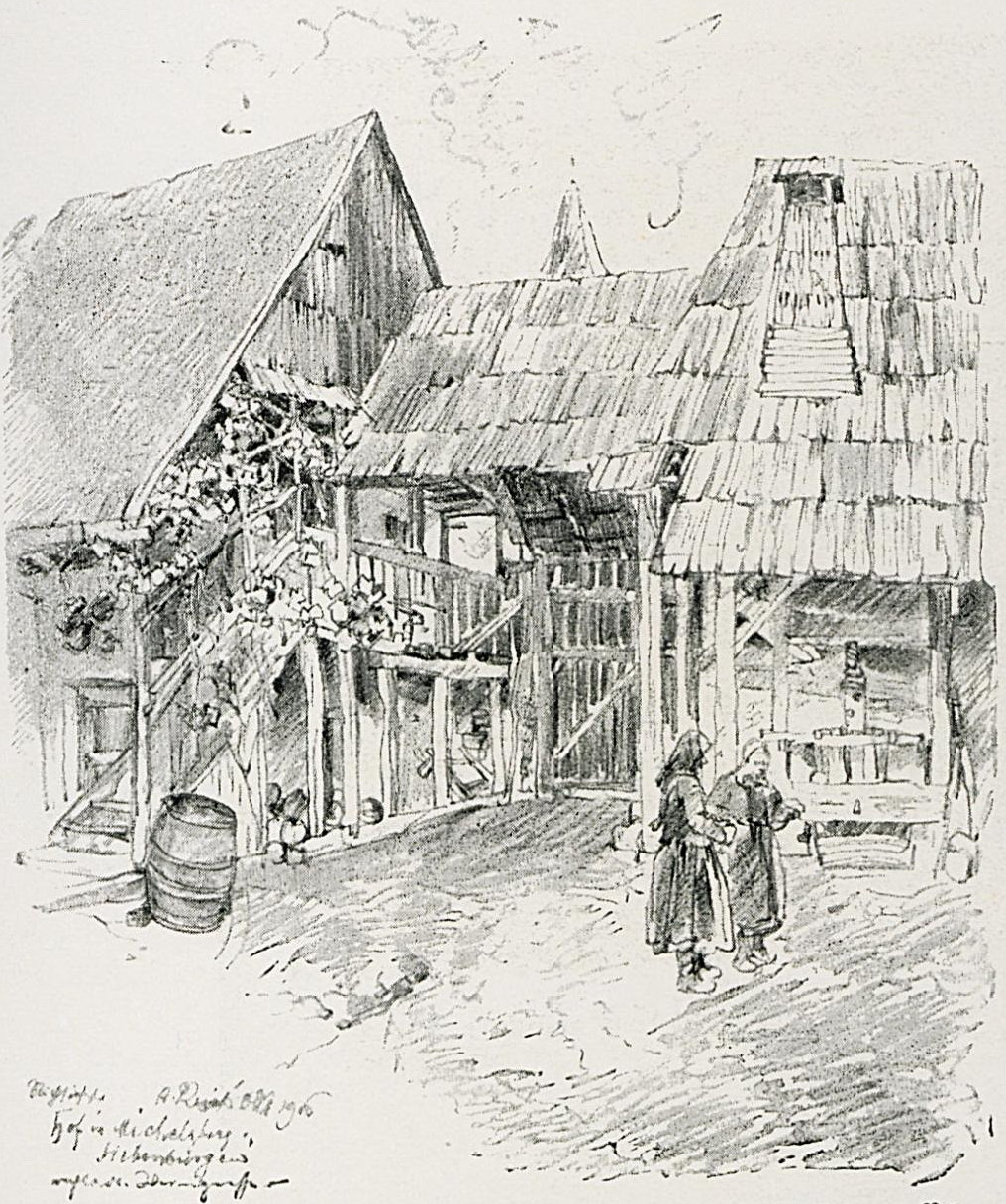 Vigneto a Transilvania, Romania