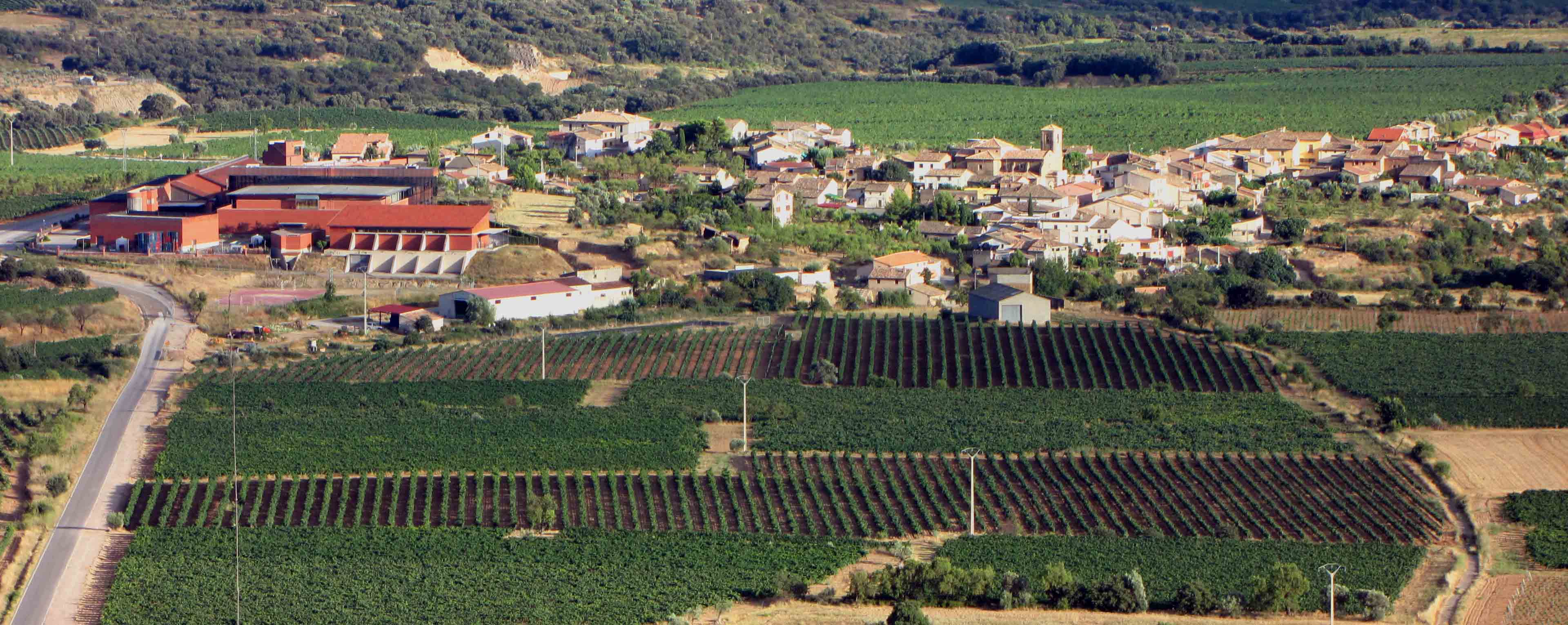 Vigneto a Somontano, Spagna