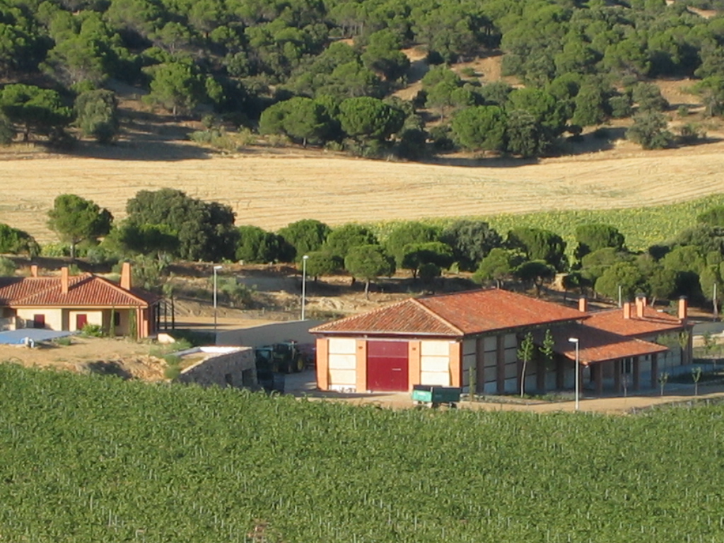 Vigneto a Toro, Spagna