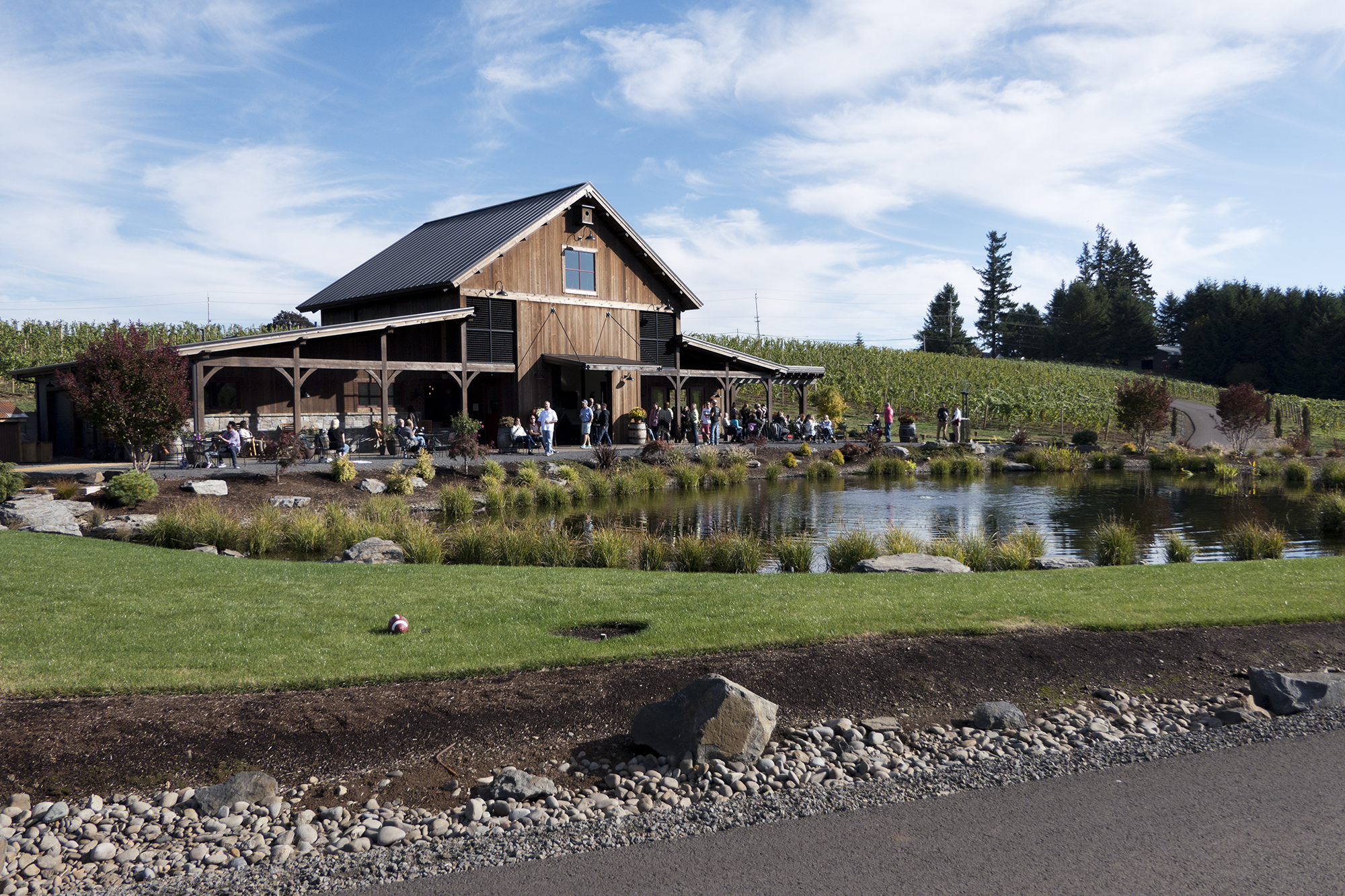 Vigneto a Oregon, Stati Uniti