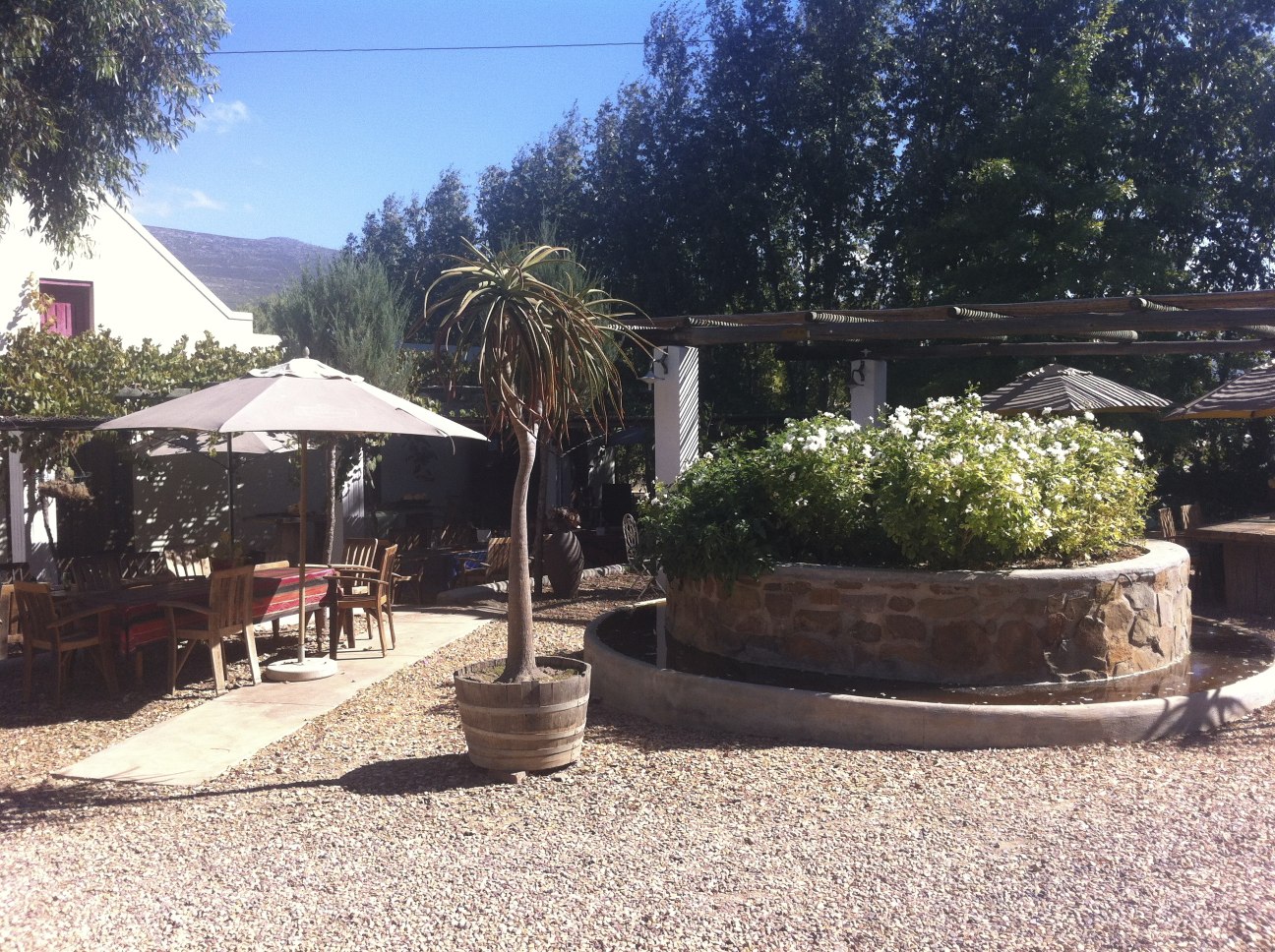 Vigneto a KwaZulu-Natal, Sudafrica