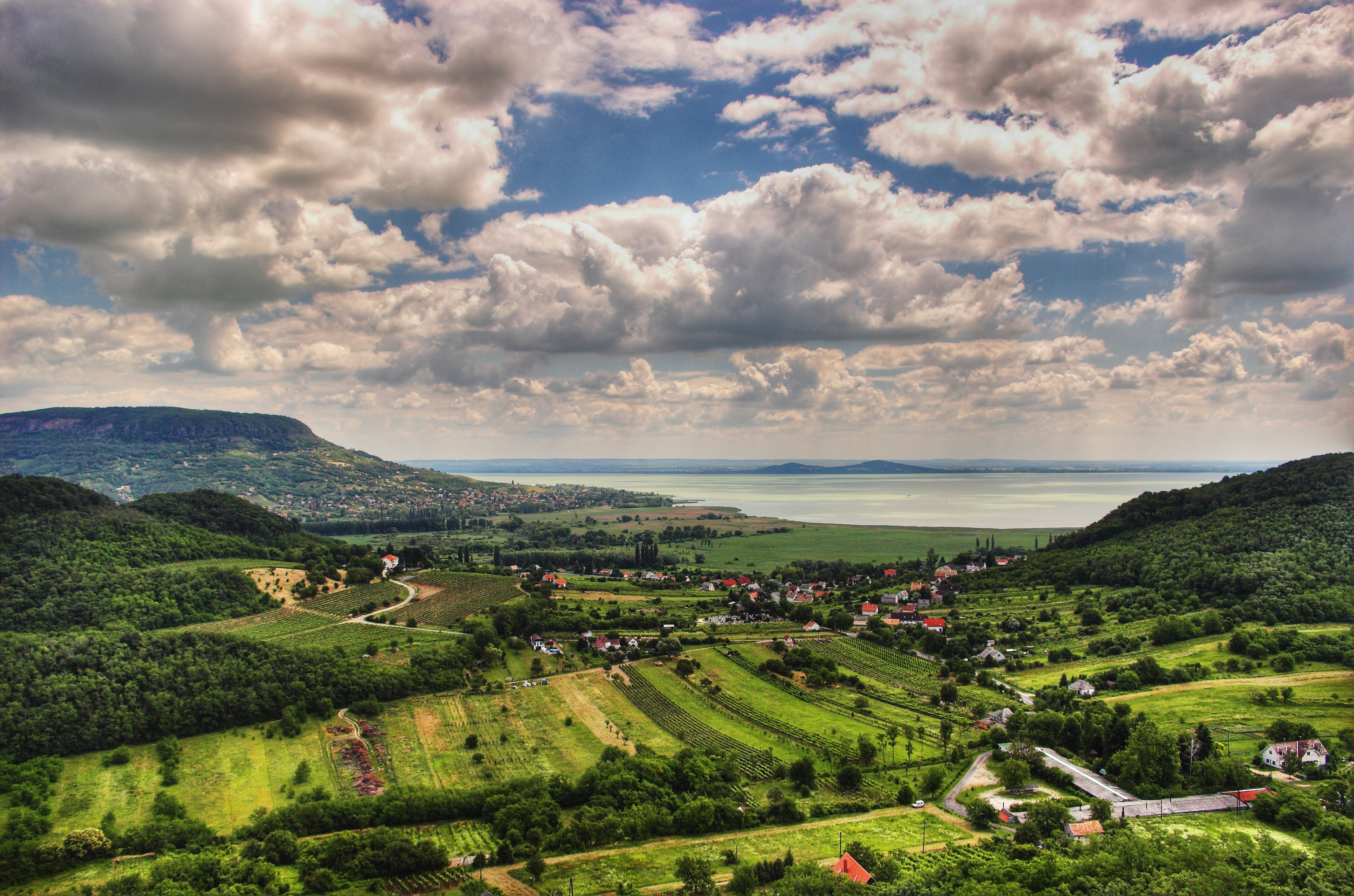 Vigneto a Also-Dunamente, Ungheria