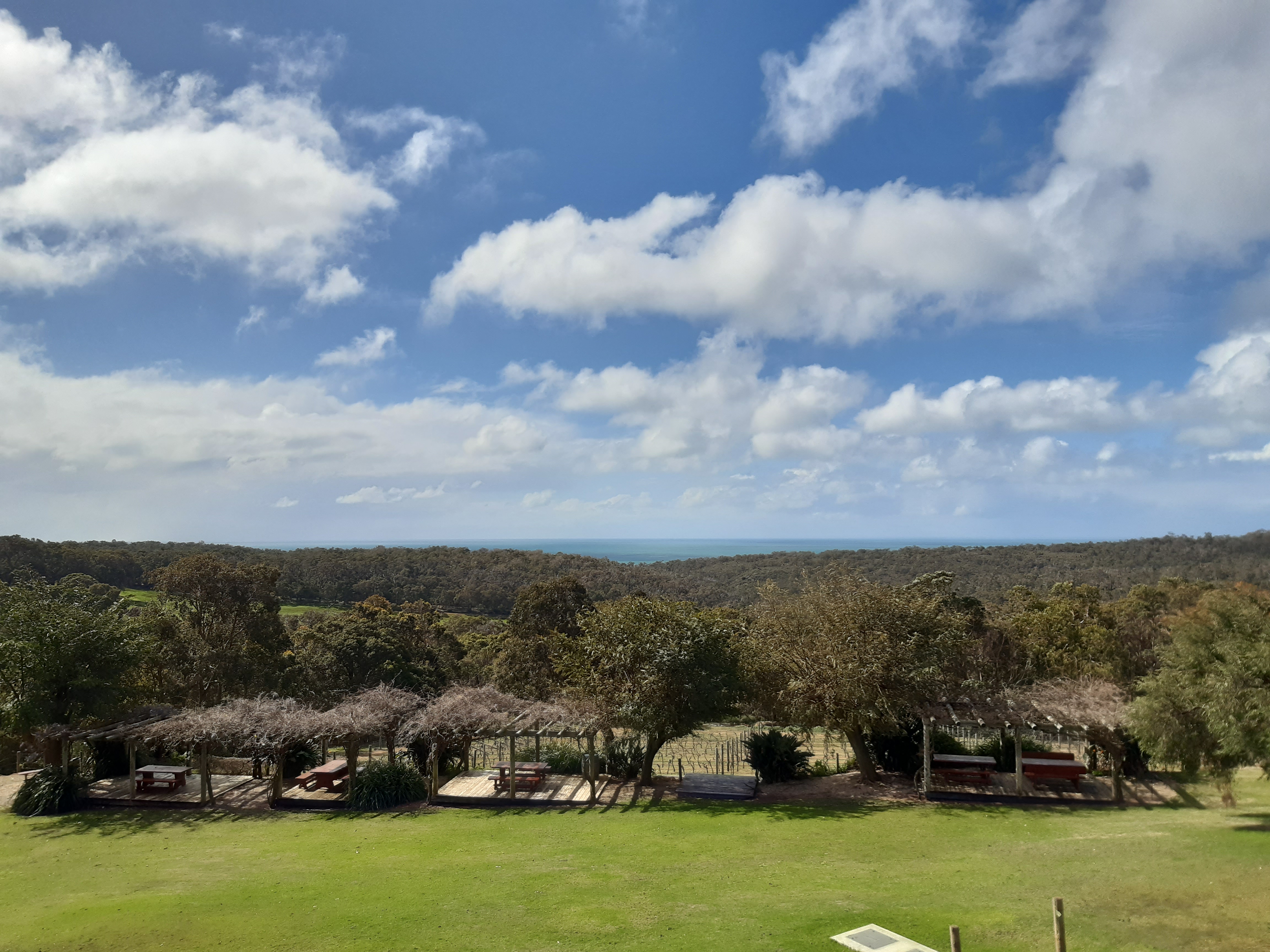 Vigneto in Australia