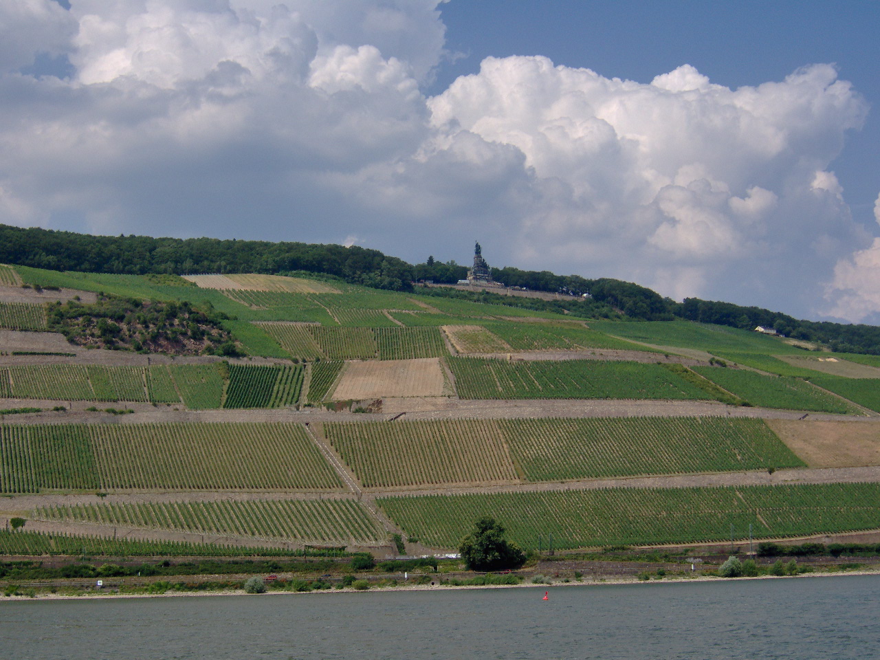 Vigneto in Germania