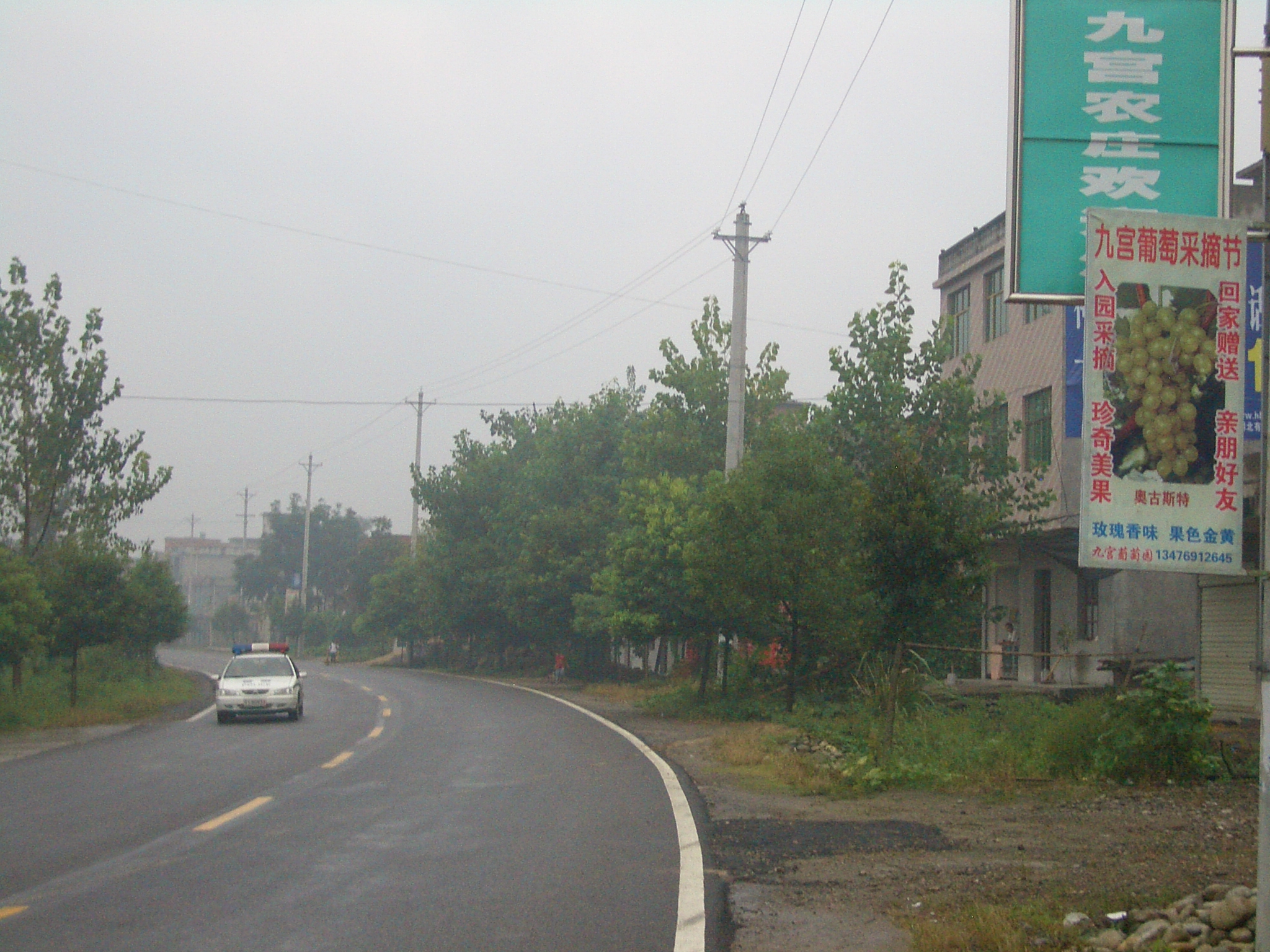 Vigneto in Cina