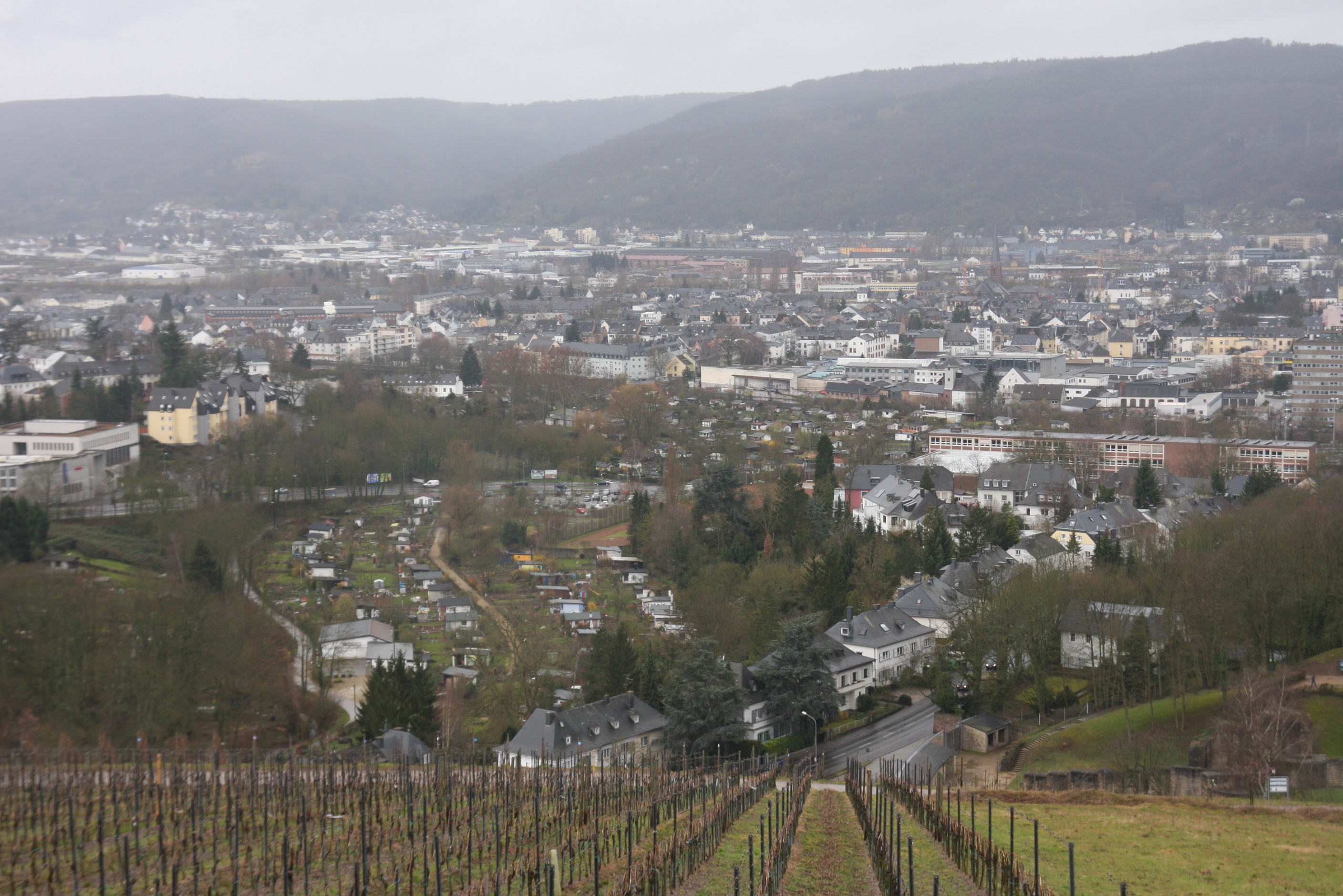 Vigneto in Germania
