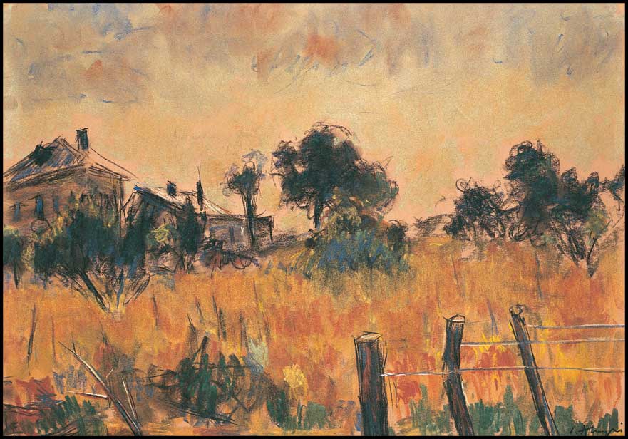 Vigneto in Romania