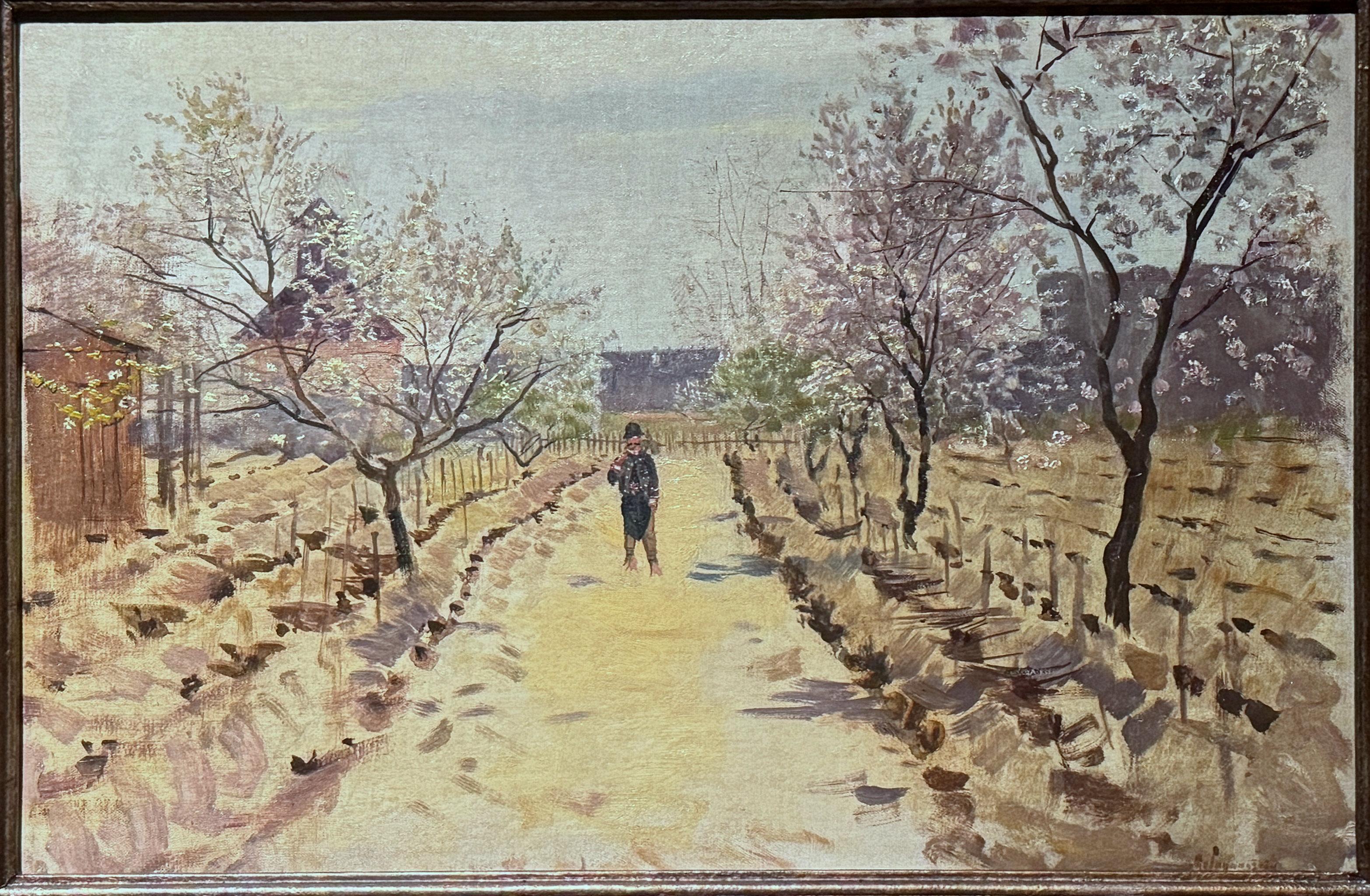 Vigneto in Ungheria