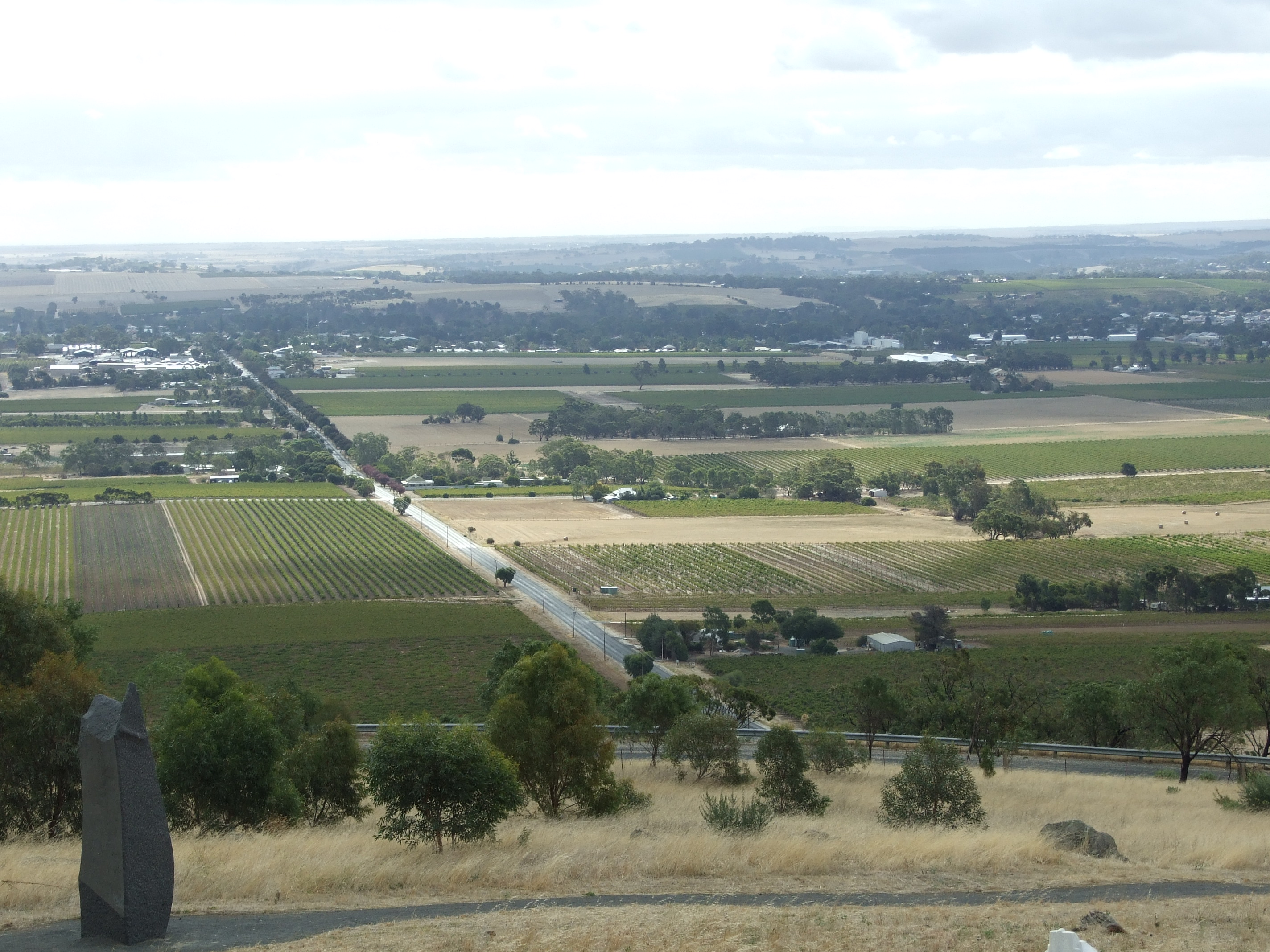Vigneto in Australia