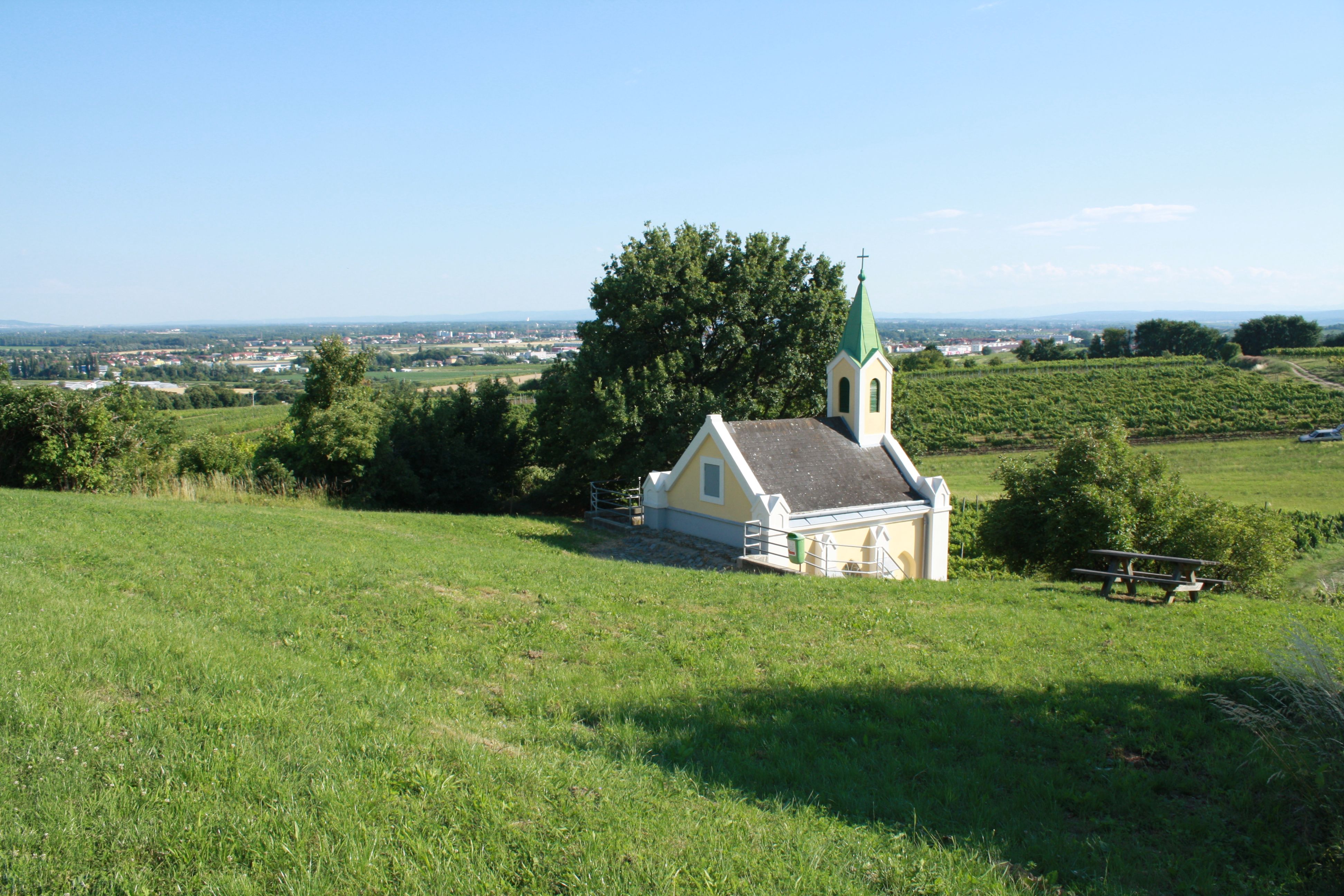 Vigneto in Austria