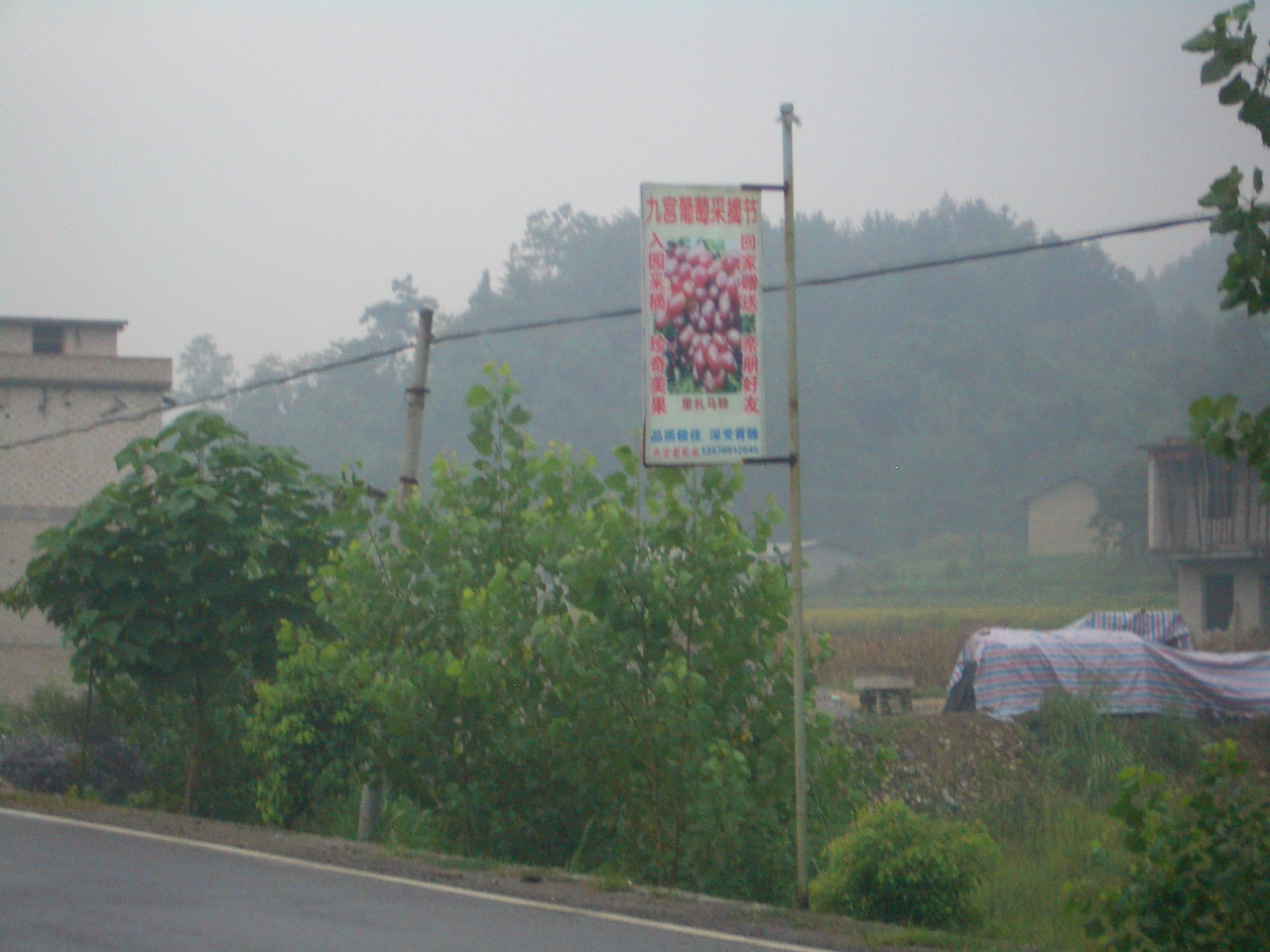 Vigneto in Cina