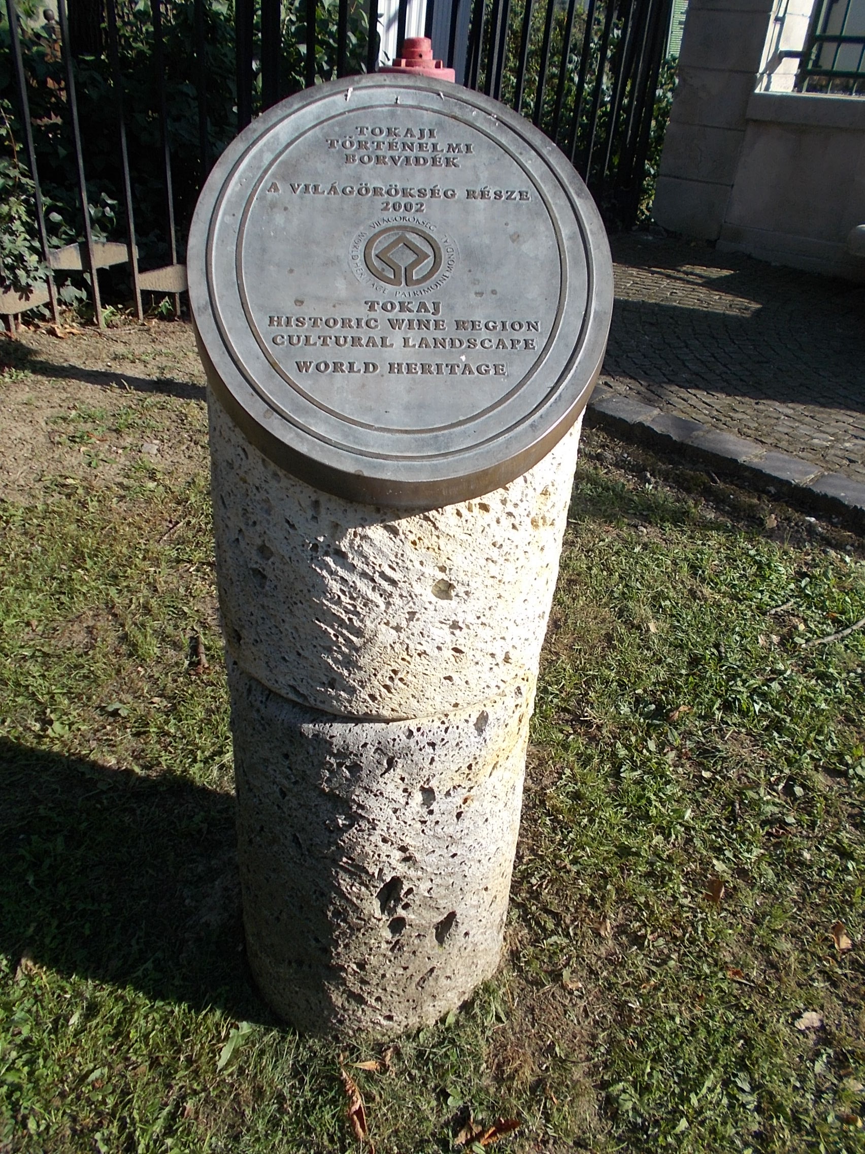 Vigneto in Ungheria