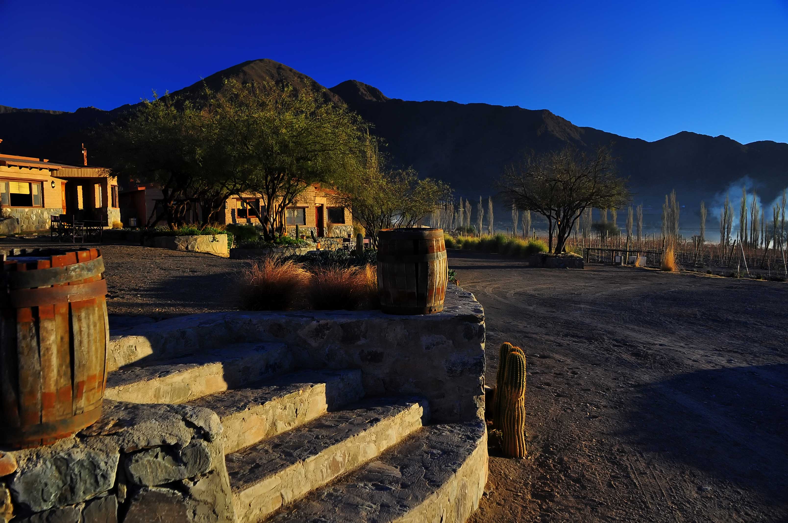 Vigneto in Argentina
