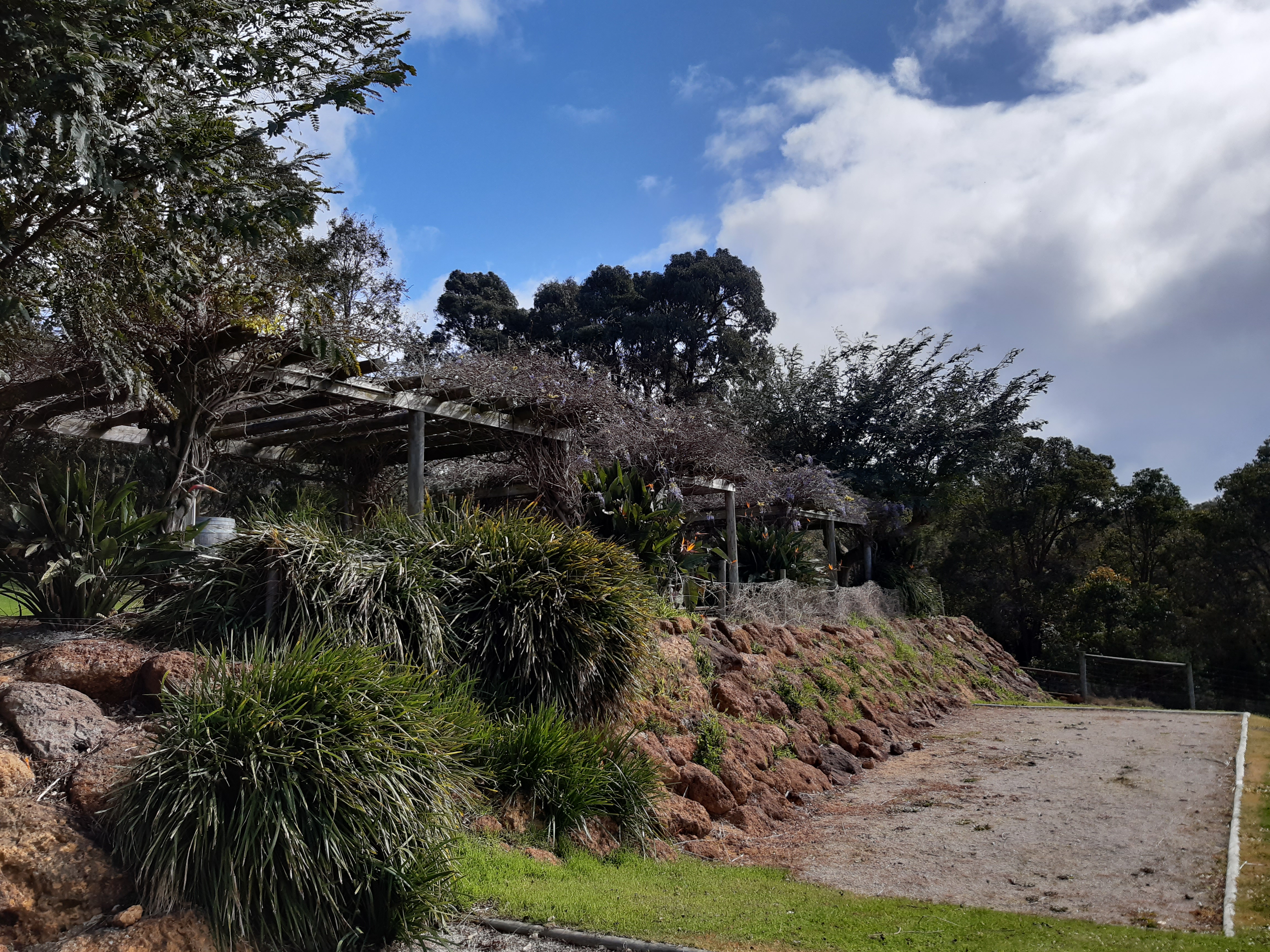 Vigneto in Australia