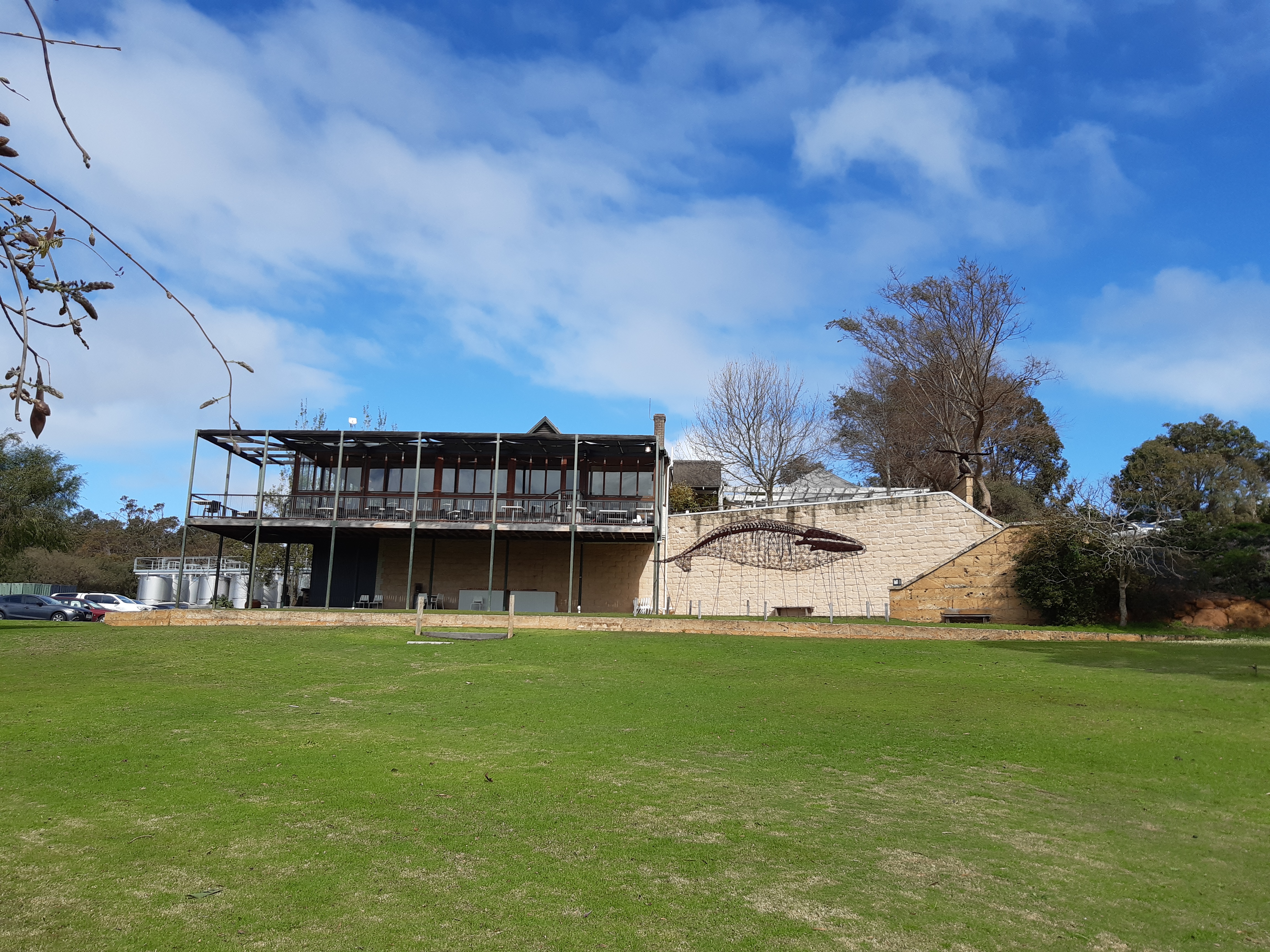 Vigneto in Australia