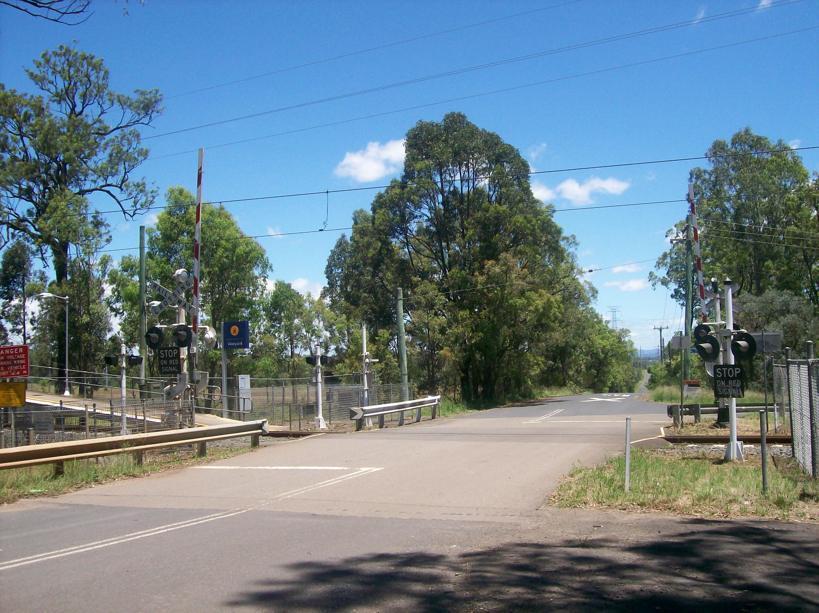 Vigneto in Australia