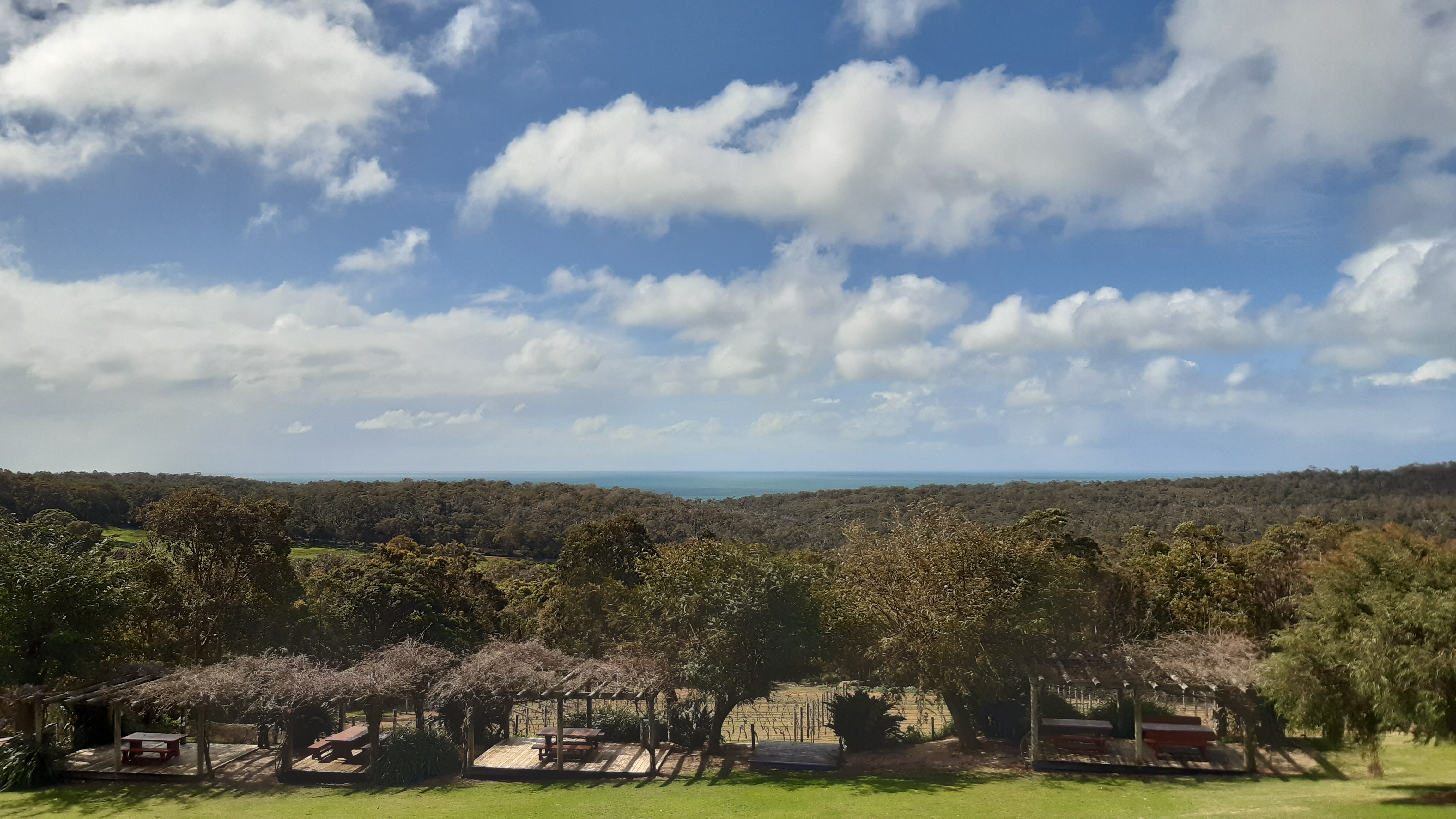 Vigneto in Australia