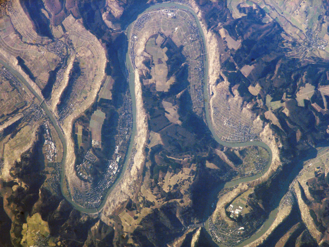 Vigneto in Germania