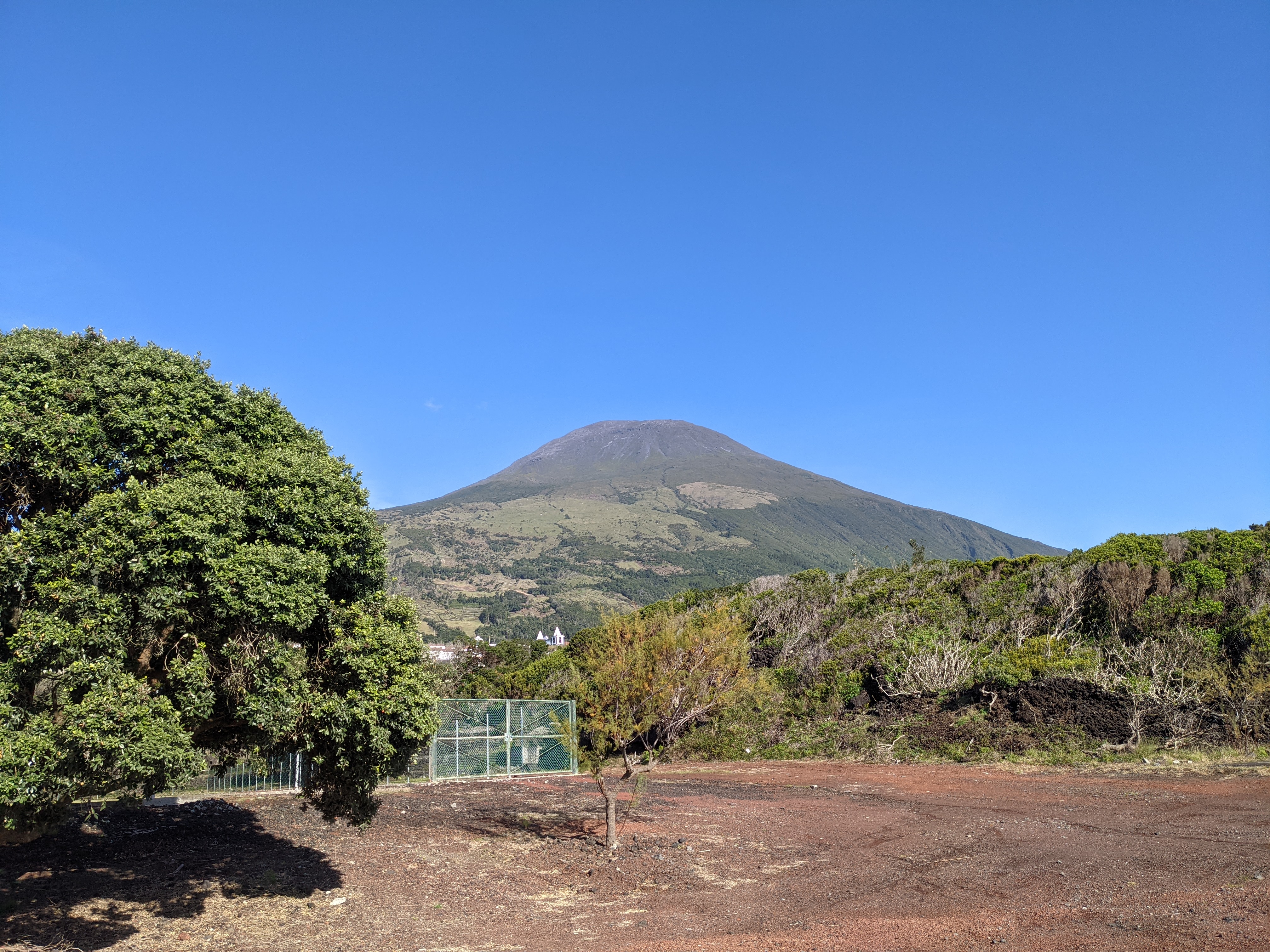 Vigneto in Portogallo