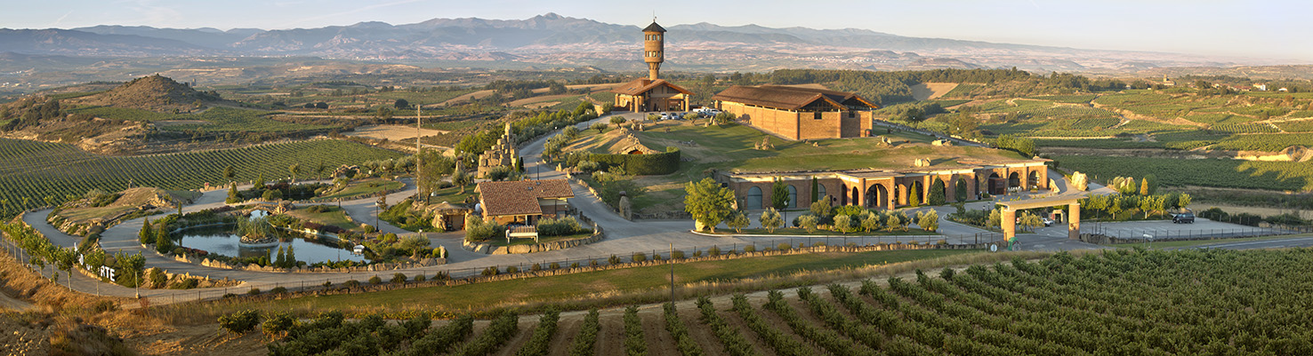 Vigneto in Spagna