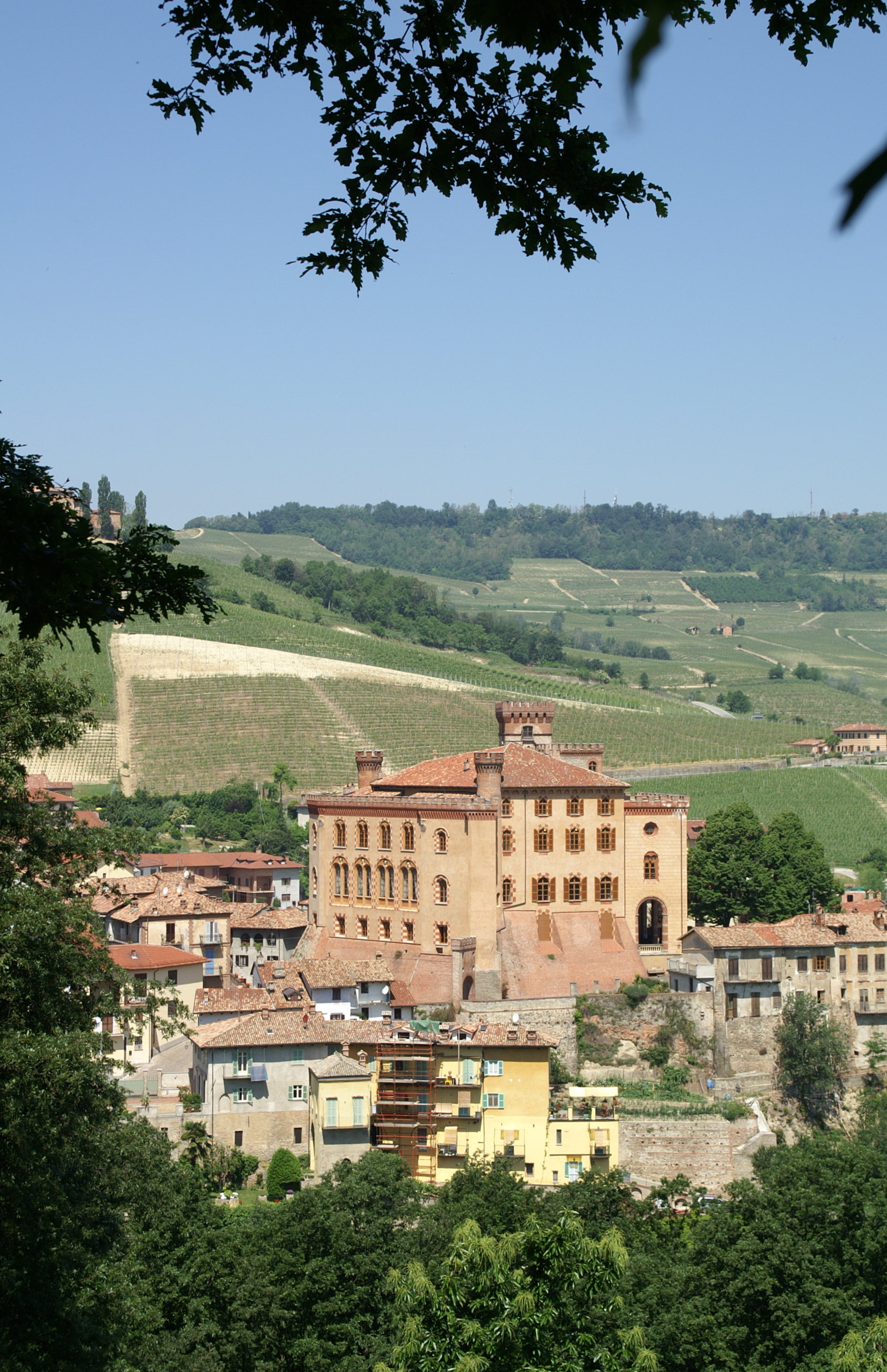 Vigneto e vino italiano