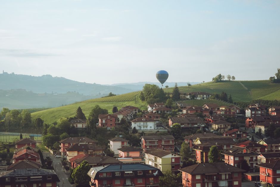 Vineyard and Italian wine