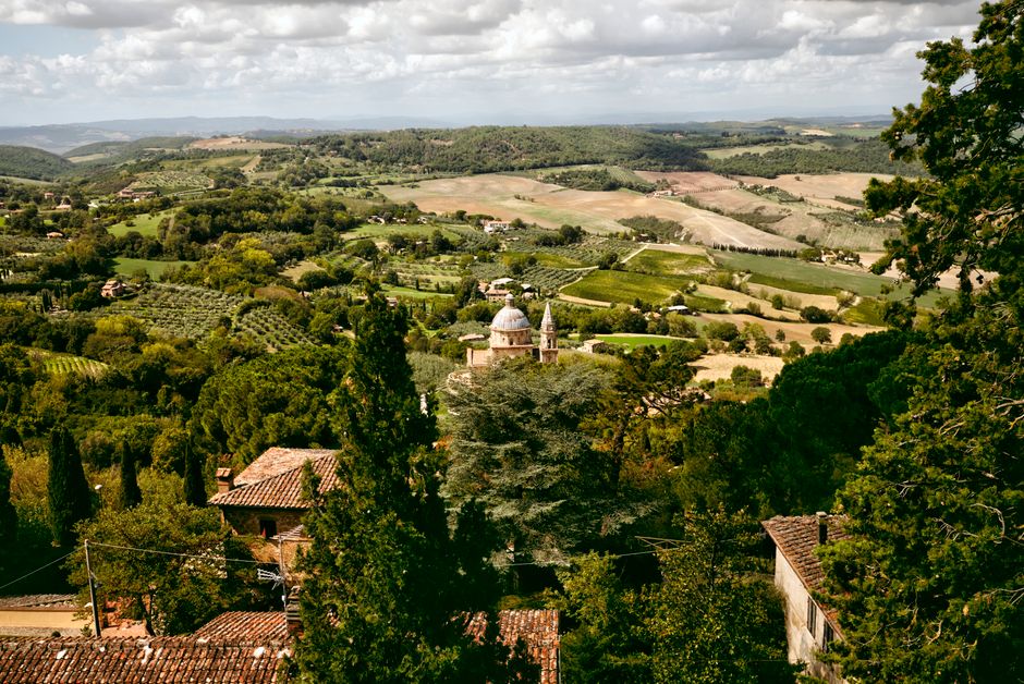 Vigneto e vino italiano