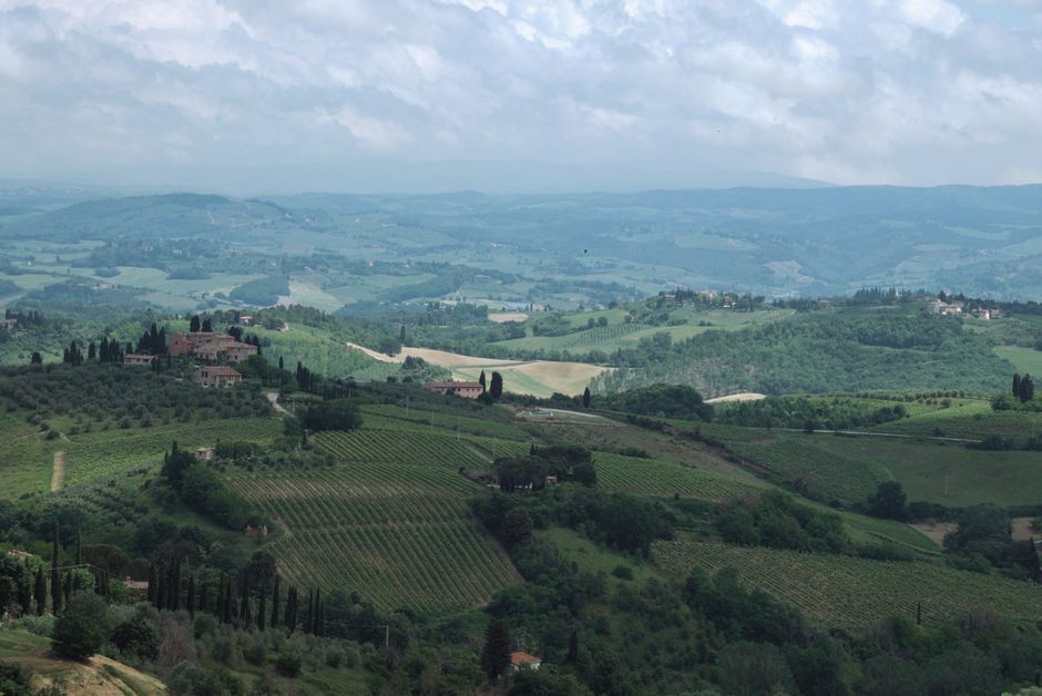 Vigneto e vino italiano