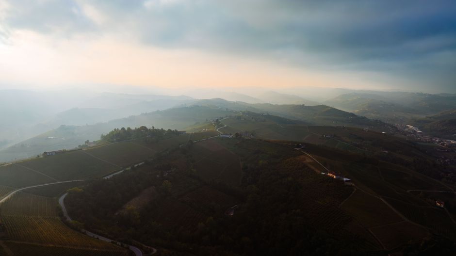 Vignoble et vin italien