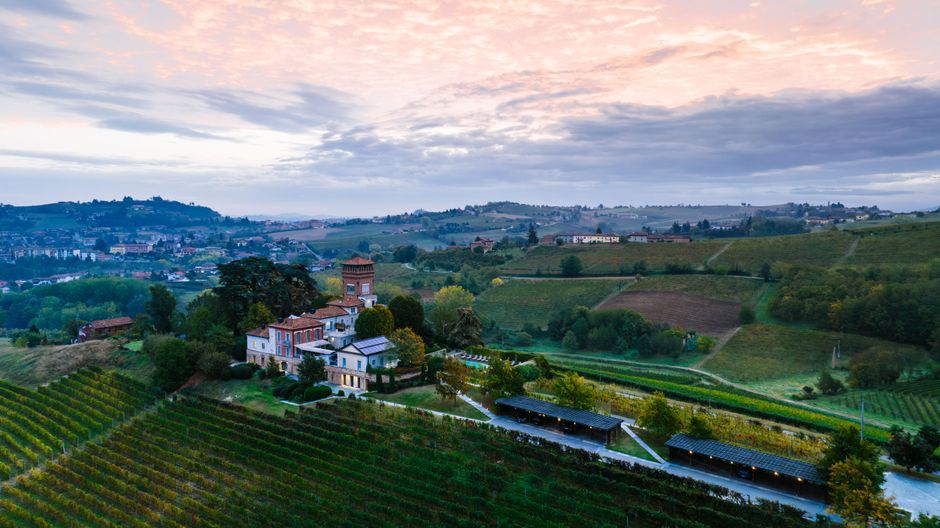 Vigneto e vino italiano