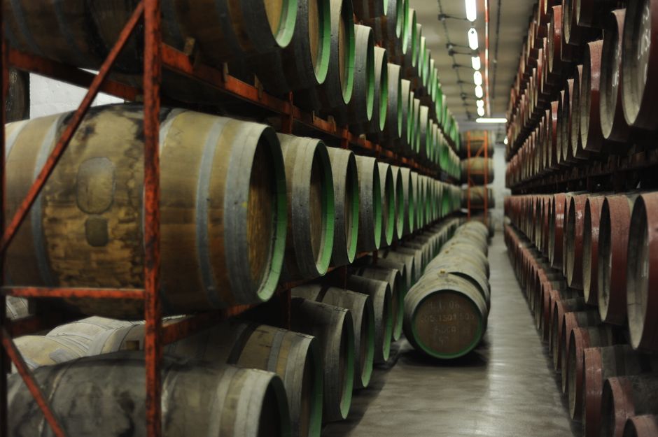Weinberg und italienischer Wein