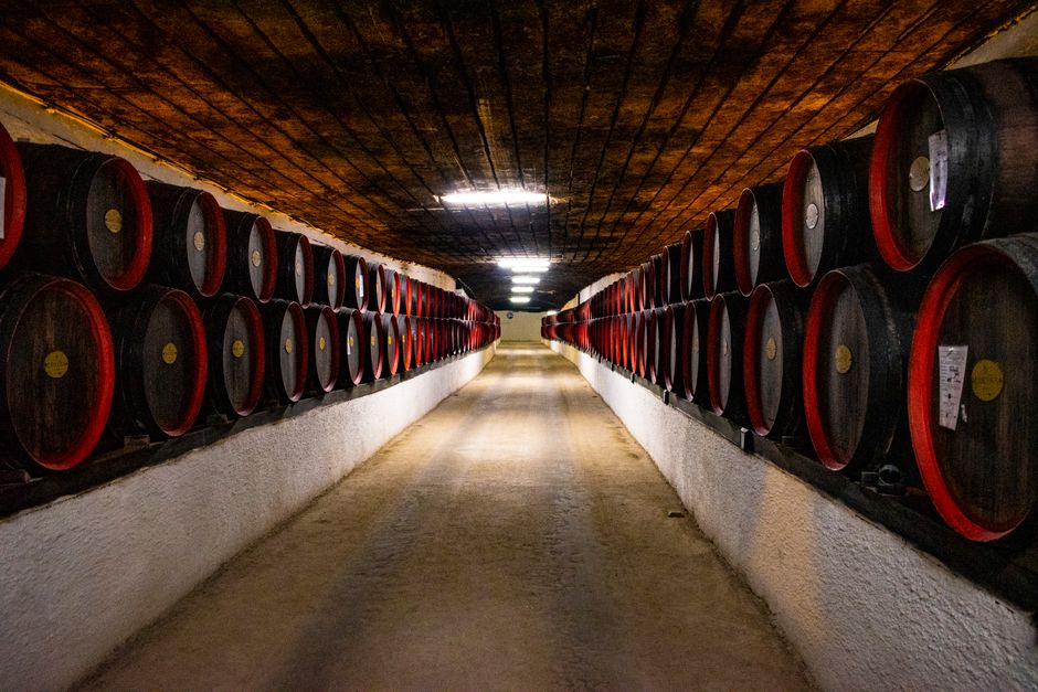 Vignoble et vin italien