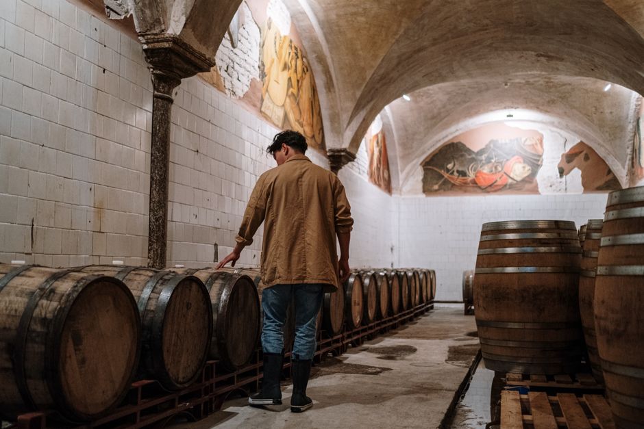 Vignoble et vin italien