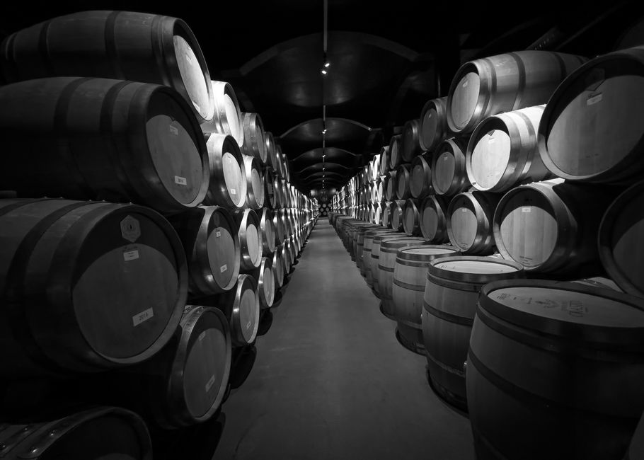 Vigneto e vino italiano