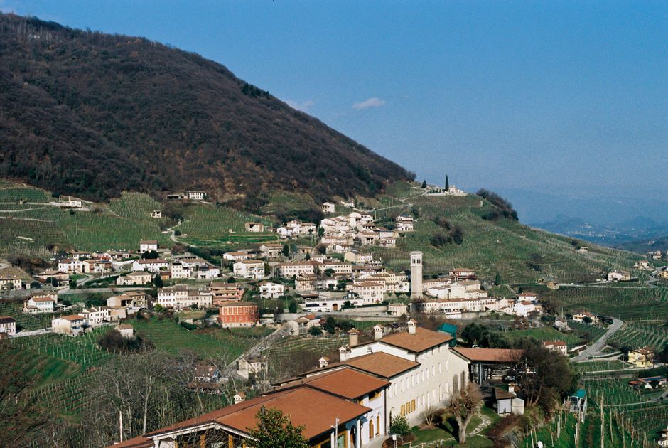 Vineyard and Italian wine