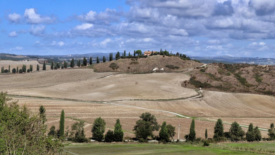 Vigneto e vino italiano