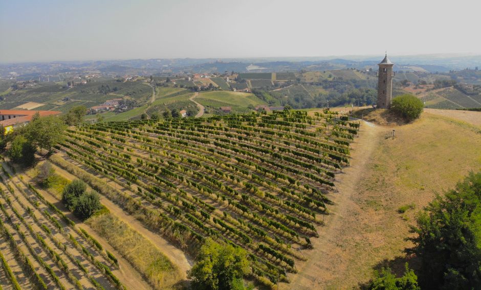 Vigneto e vino italiano