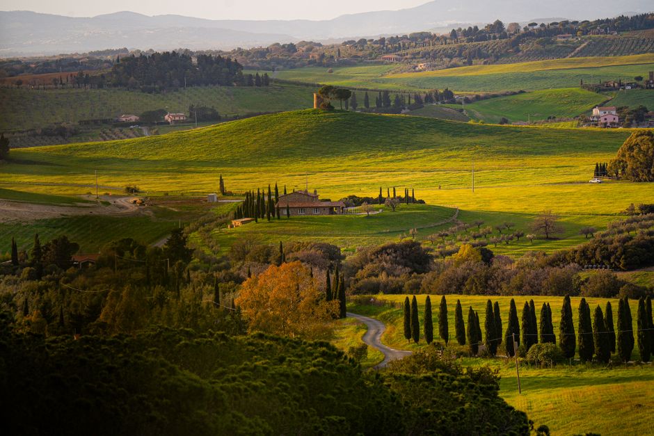 Vigneto e vino italiano