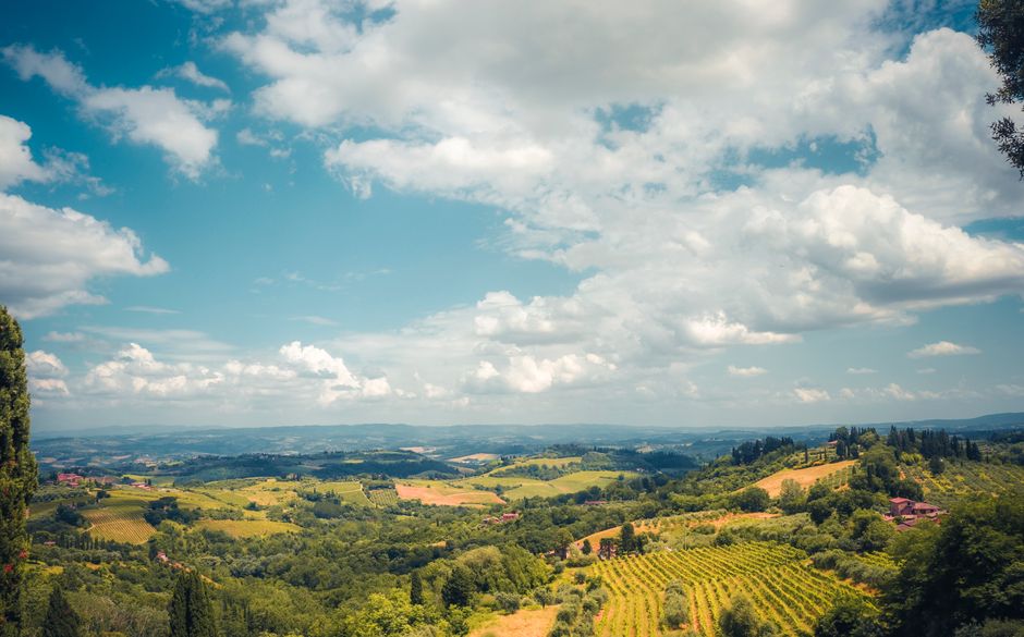Vigneto e vino italiano
