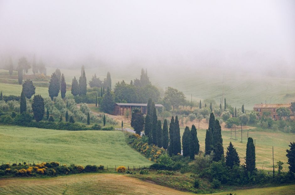 Vigneto e vino italiano