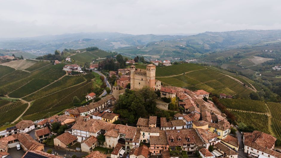 Italienischer Weinberg und Wein